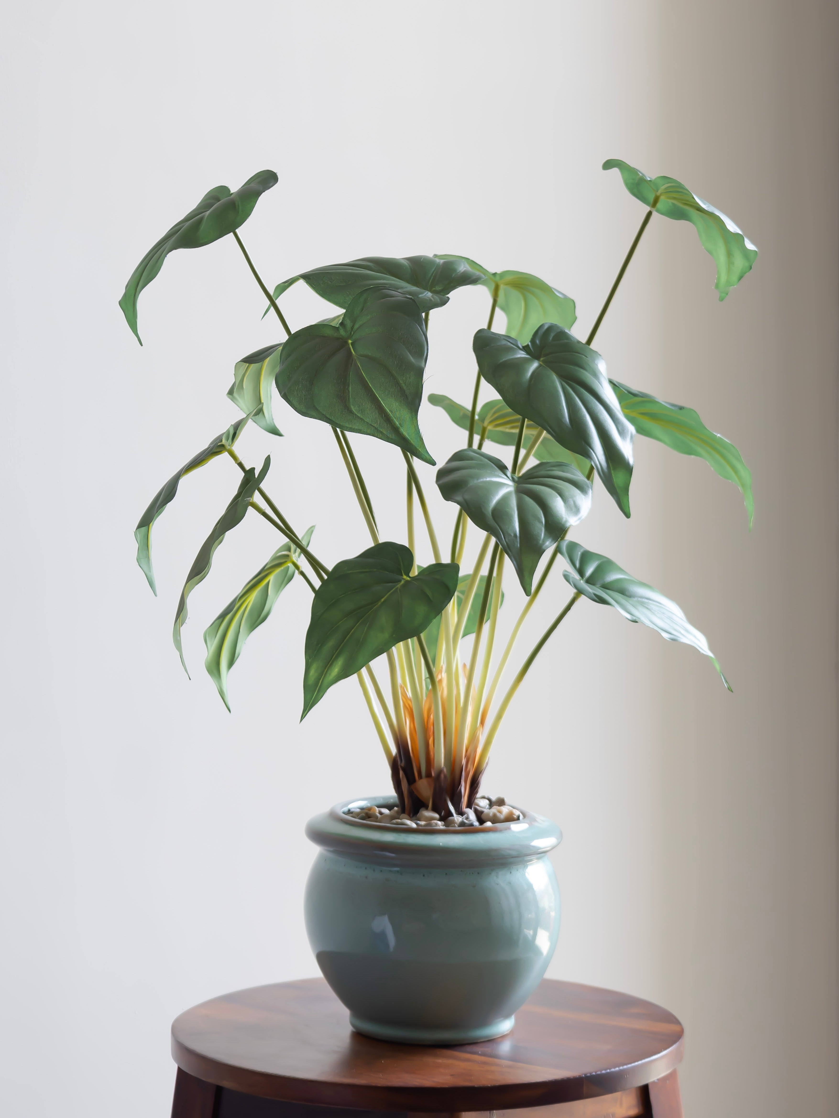 Artificial Green Leaf Bonsai 2ft