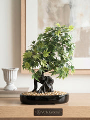 Artificial Green Japanese Maple Bonsai Plant 1.4ft