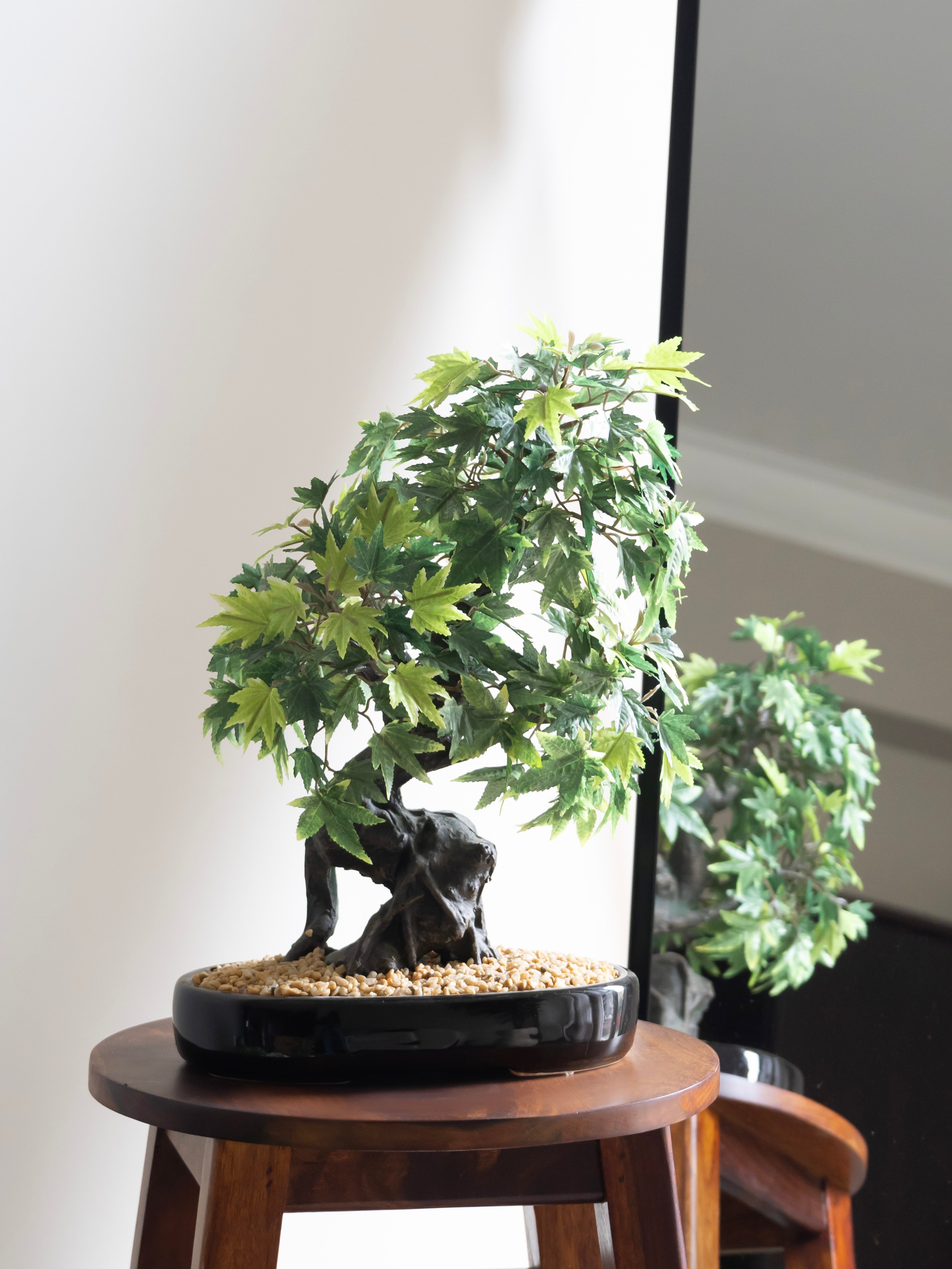 Artificial Green Japanese Maple Bonsai Plant 1.4ft