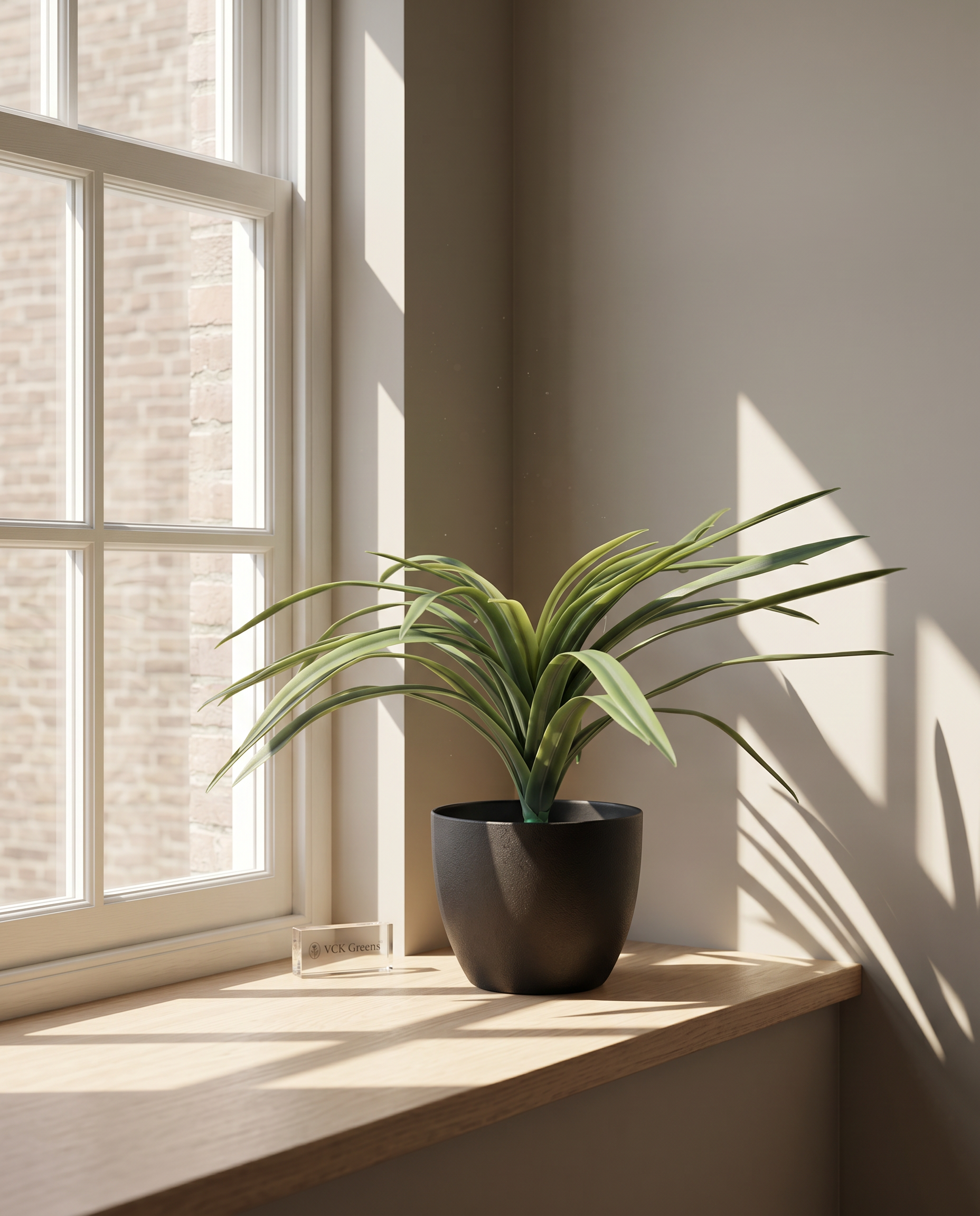 Artificial Latex Green Dracaena Bunch 1.5ft