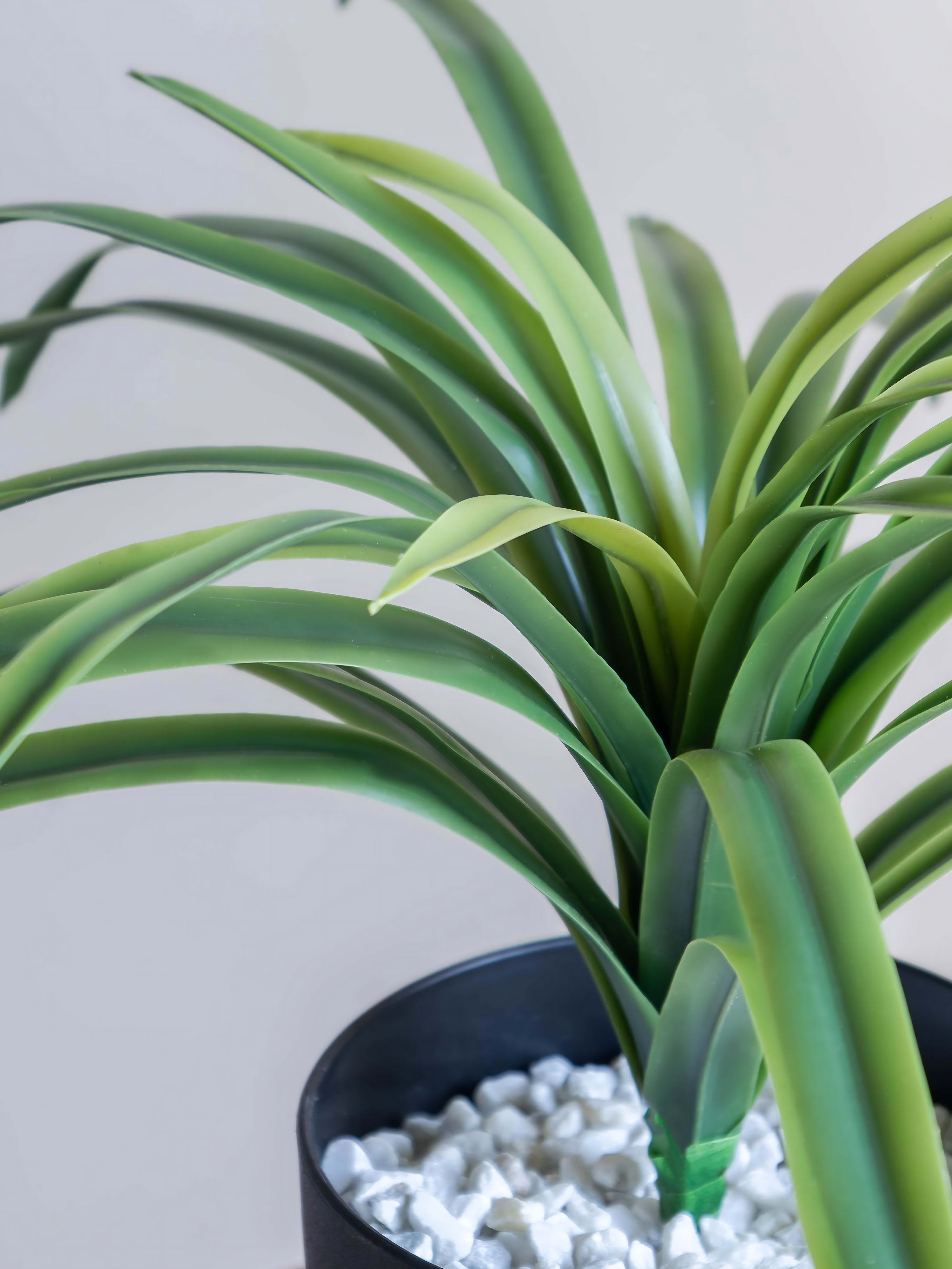 Artificial Latex Green Dracaena Bunch 1.5ft