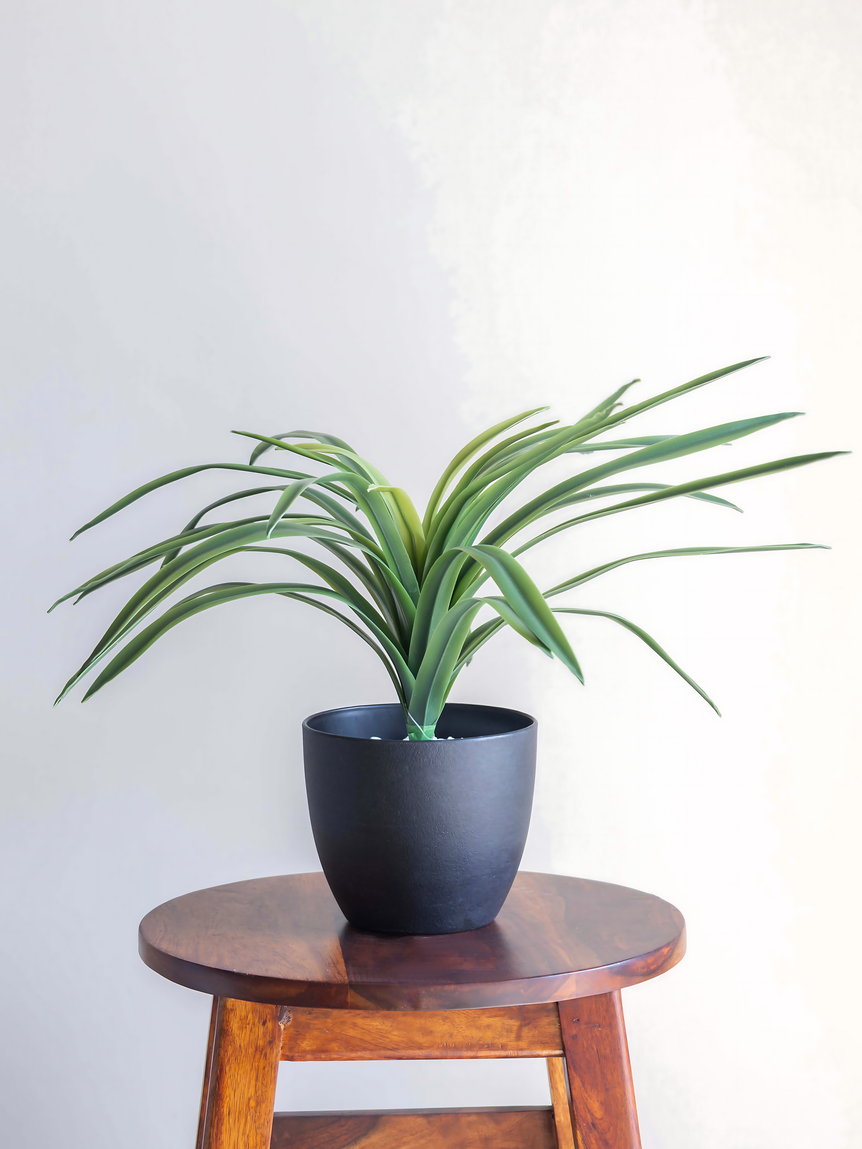 Artificial Latex Green Dracaena Bunch 1.5ft