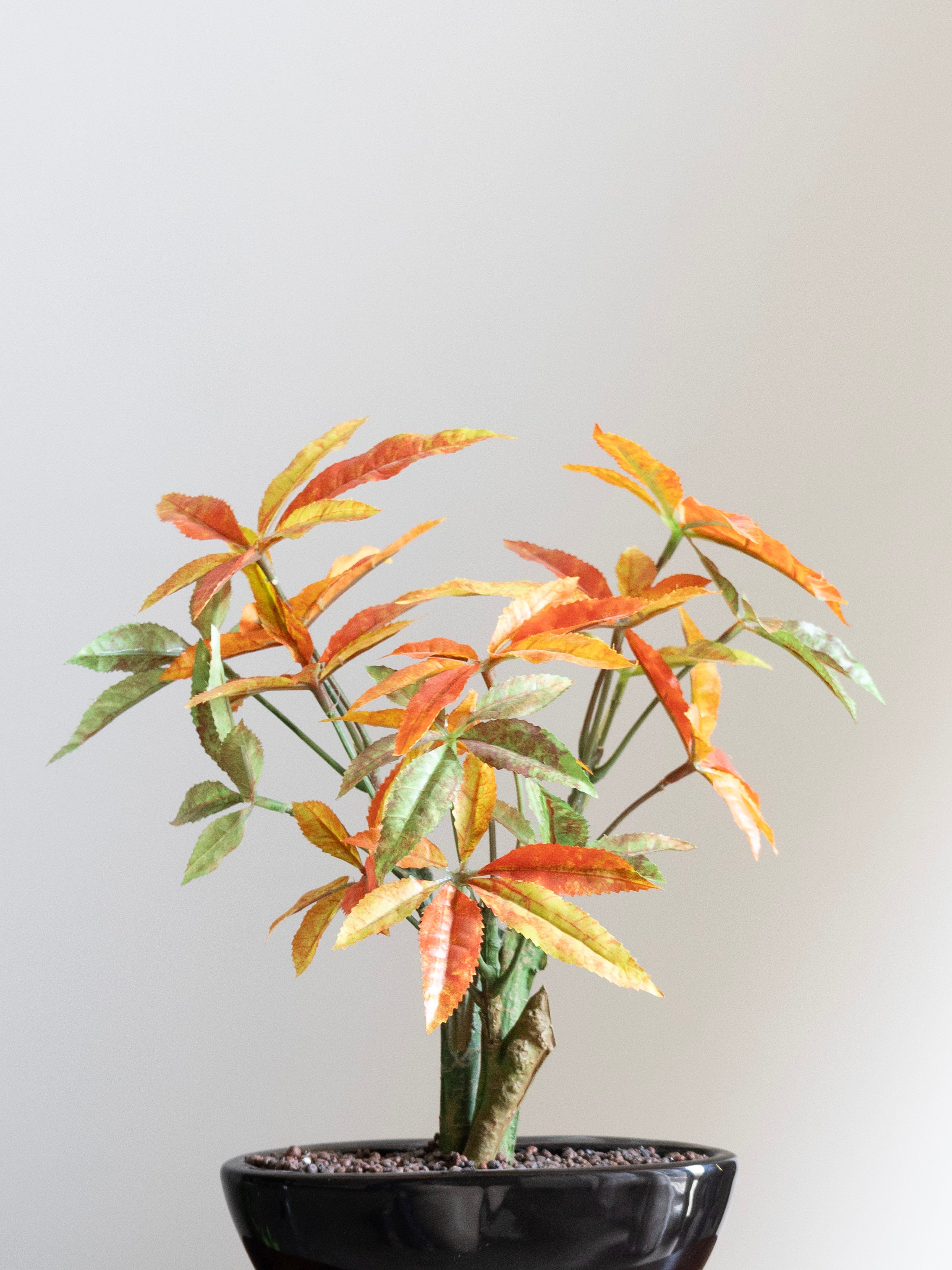 Artificial Orange Japanese maple Leaves Bonsai 1ft