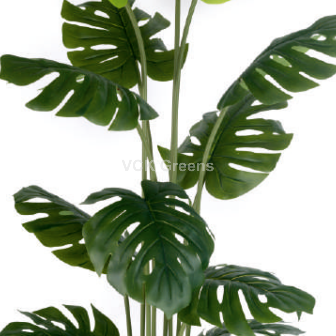 Artificial Monstera Plant 5ft With Pot