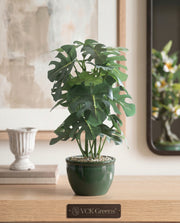 Artificial Plant Leaf Bonsai 28cm