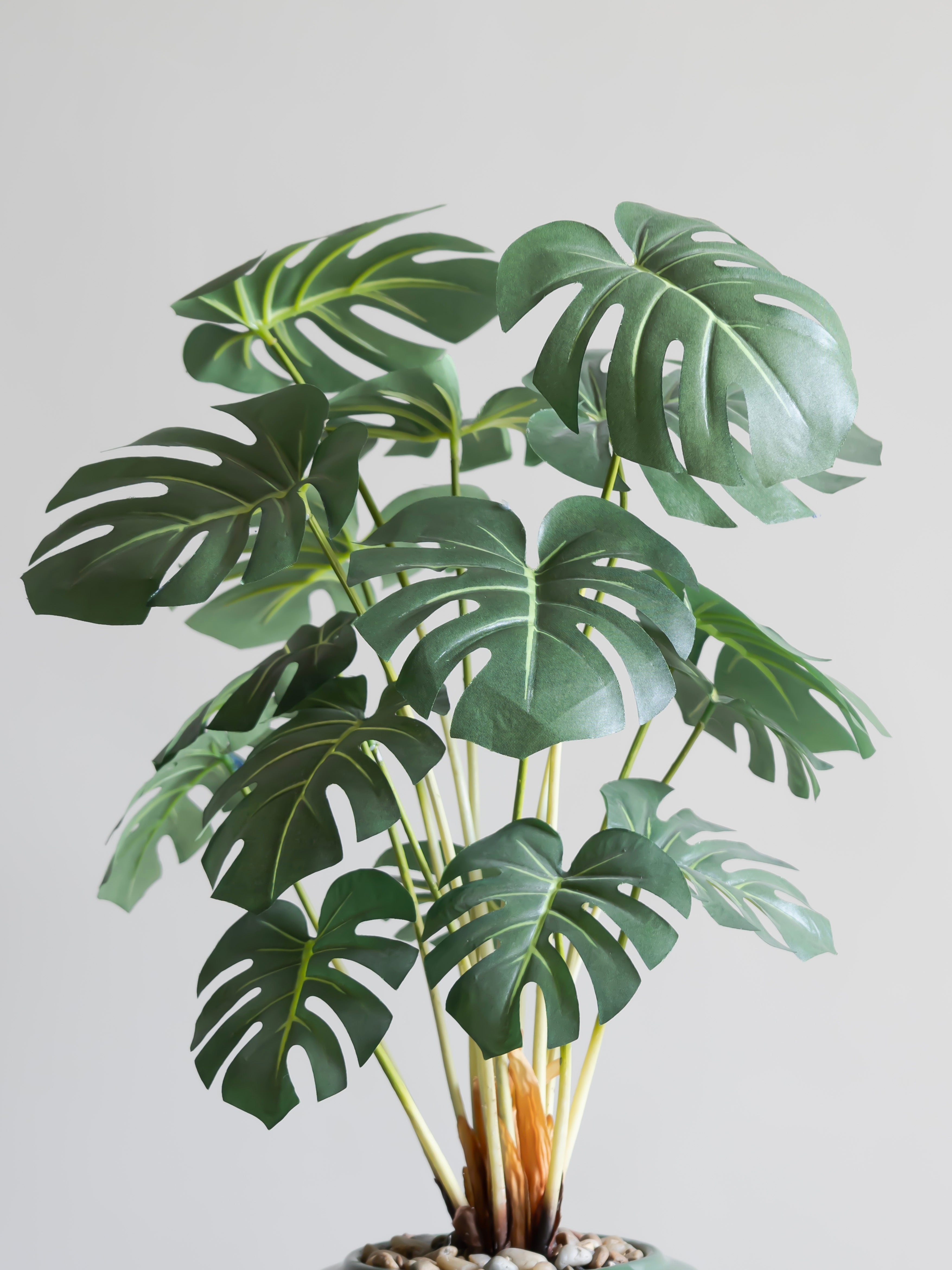 Artificial Monstera Leaf Bonsai 2ft