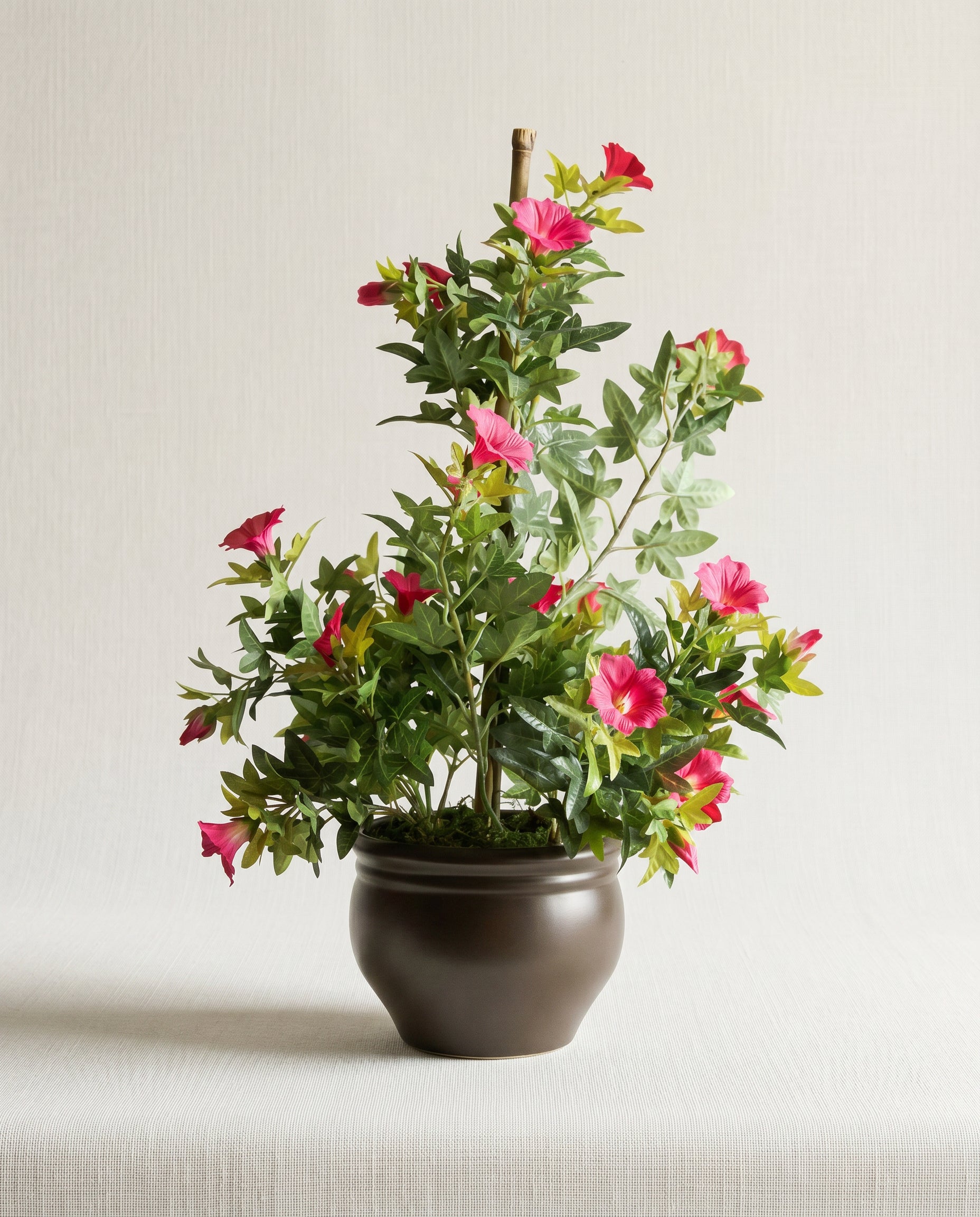 Artificial Morning glory Pink Bonsai 1.7ft