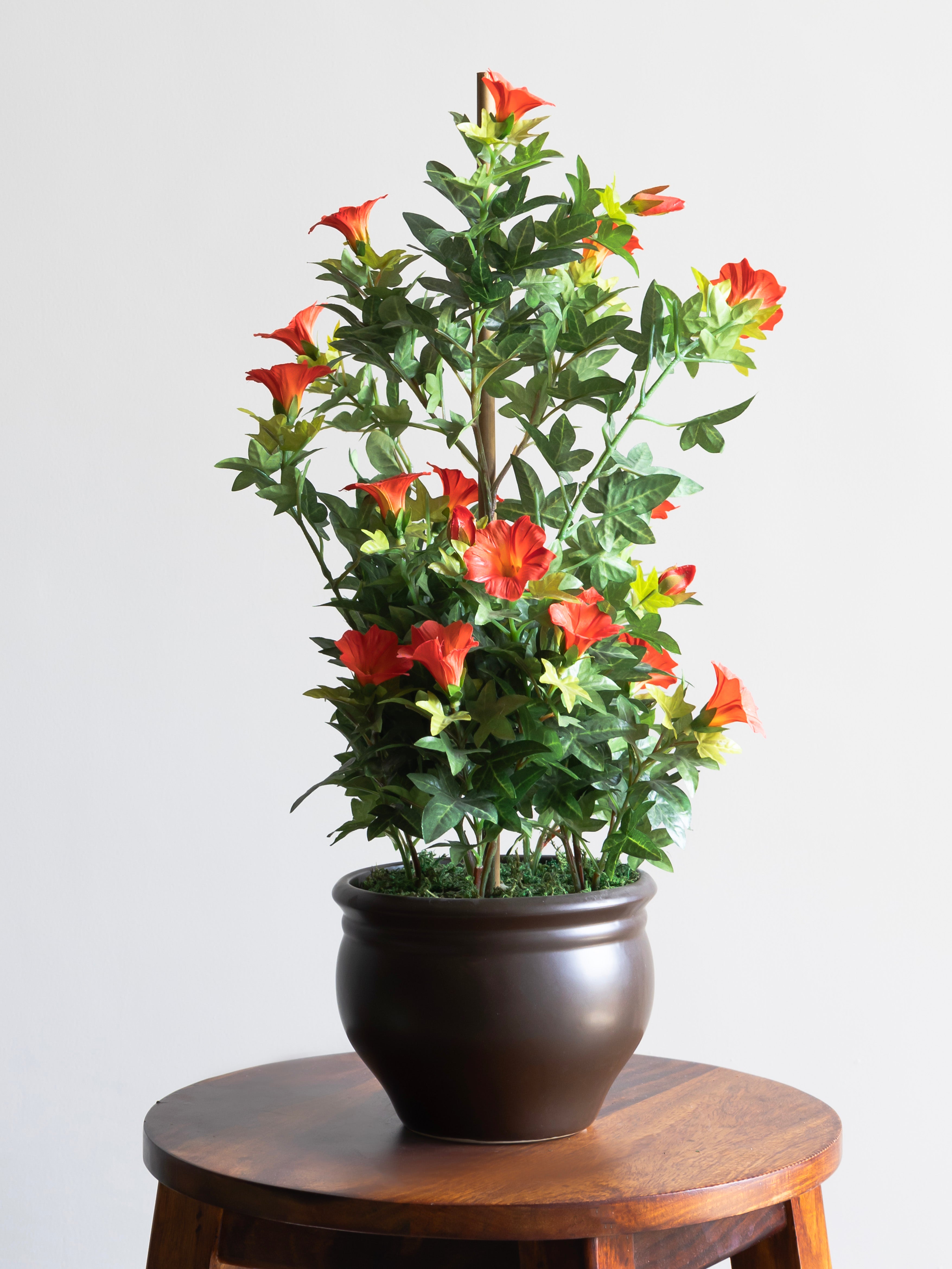 Artificial Morning glory Orange Bonsai 1.7ft