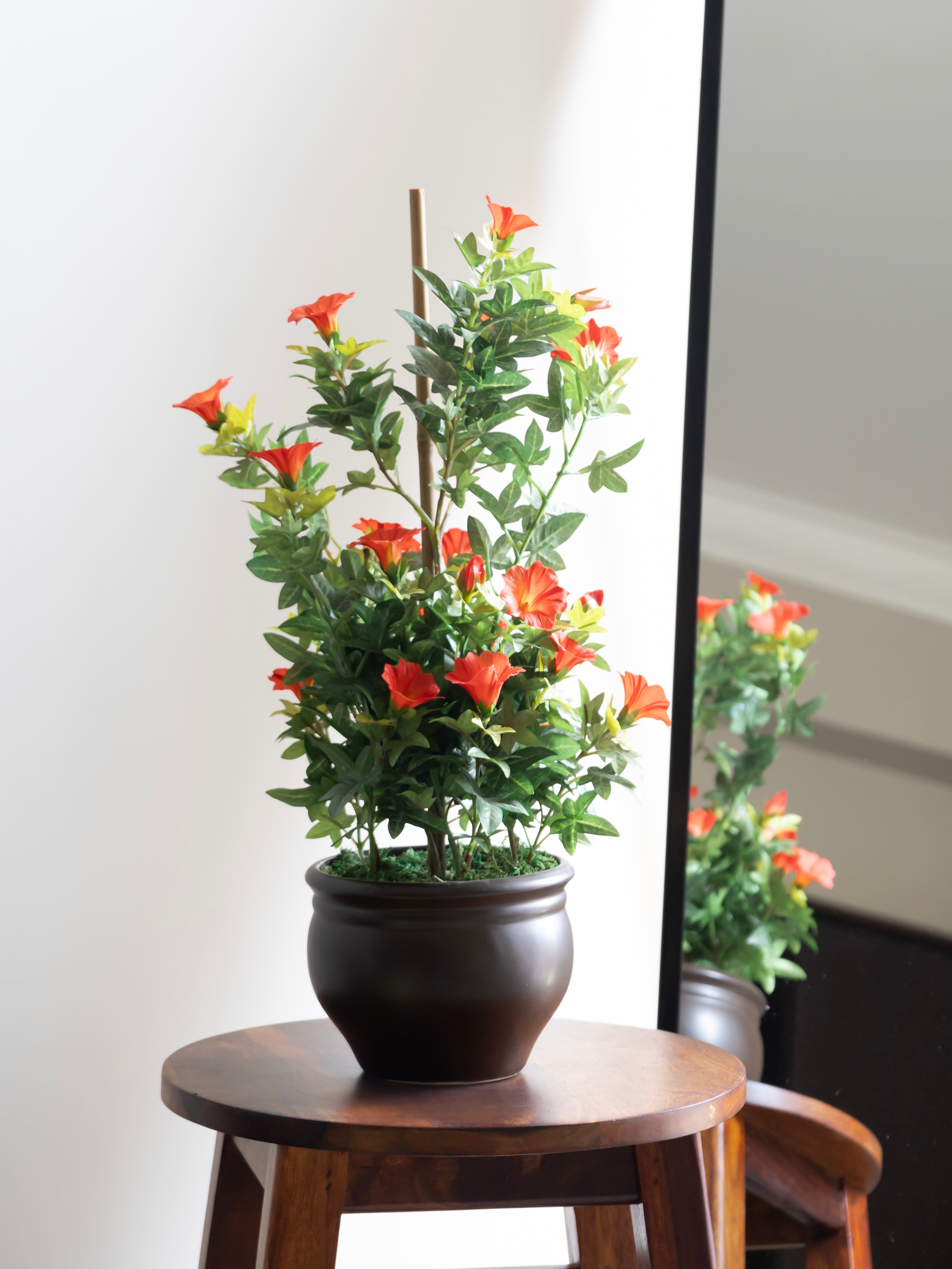 Artificial Morning glory Orange Bonsai 1.7ft