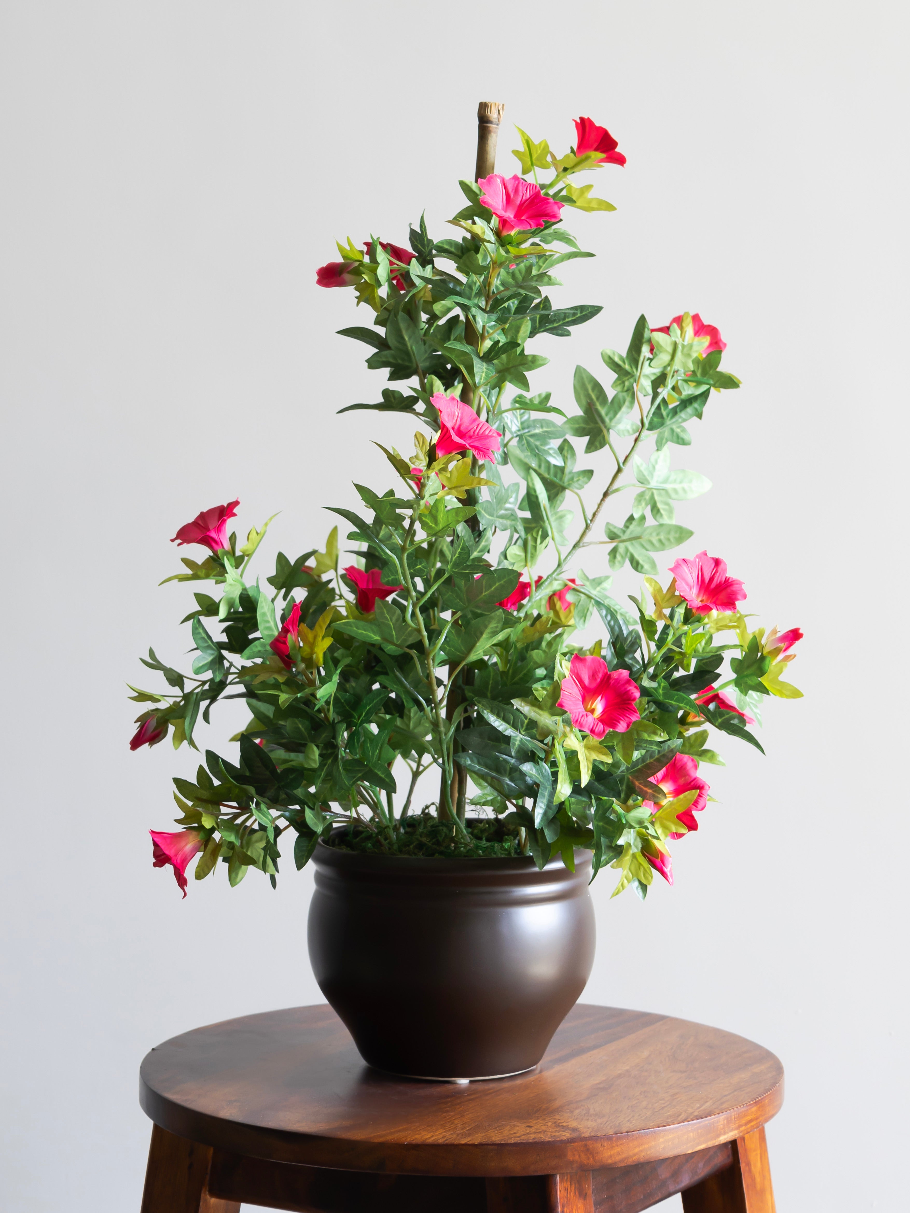 Artificial Morning glory Pink Bonsai 1.7ft