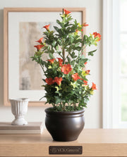 Artificial Morning glory Orange Bonsai 1.7ft