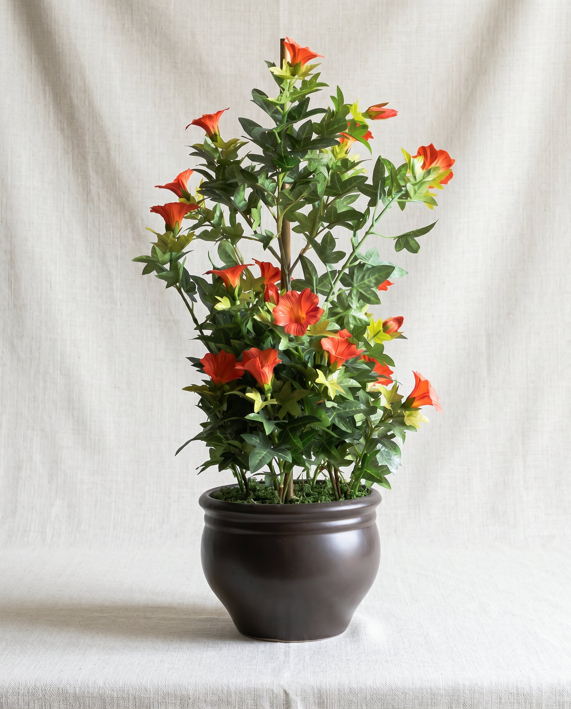 Artificial Morning glory Orange Bonsai 1.7ft