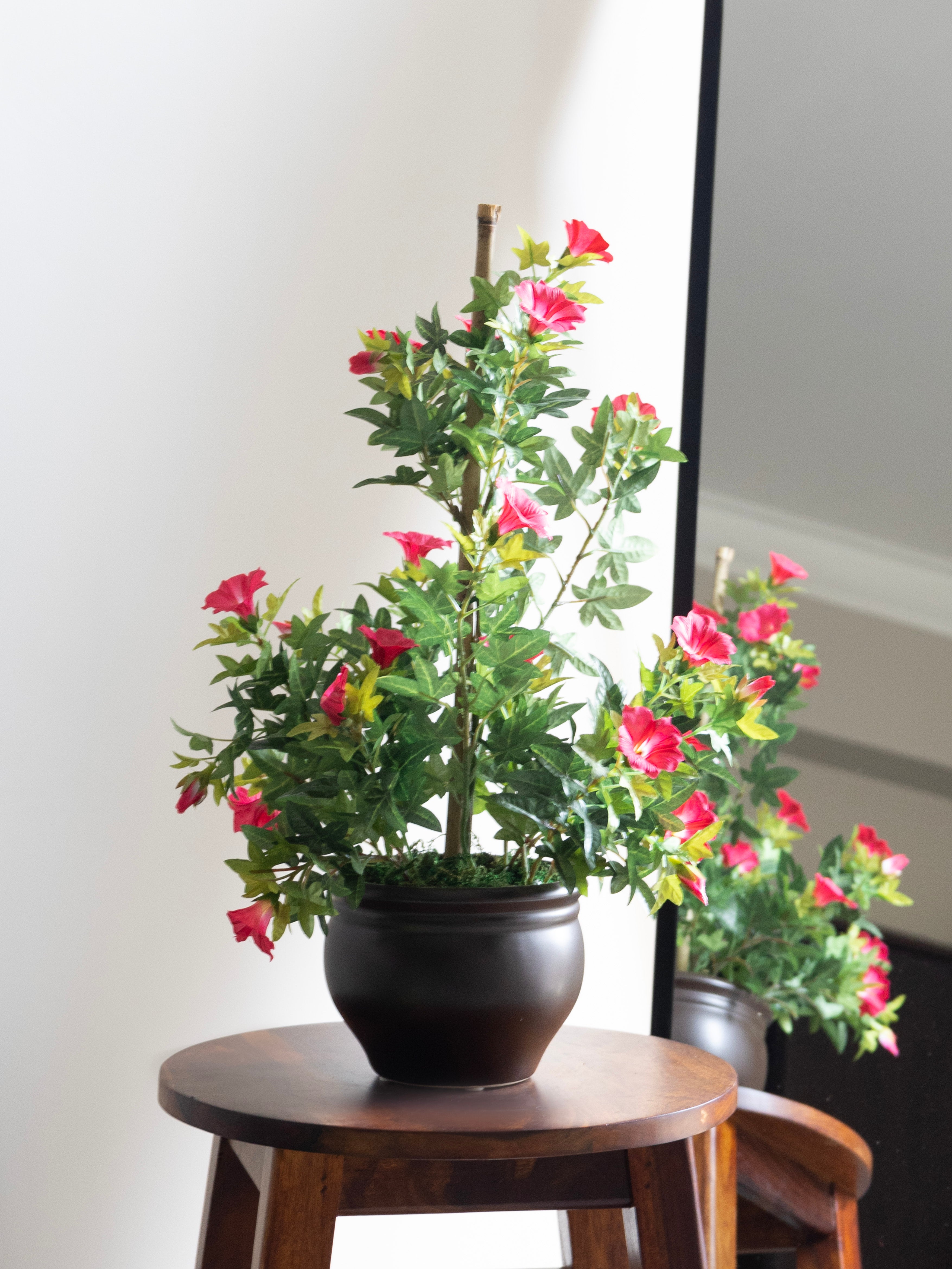 Artificial Morning glory Pink Bonsai 1.7ft