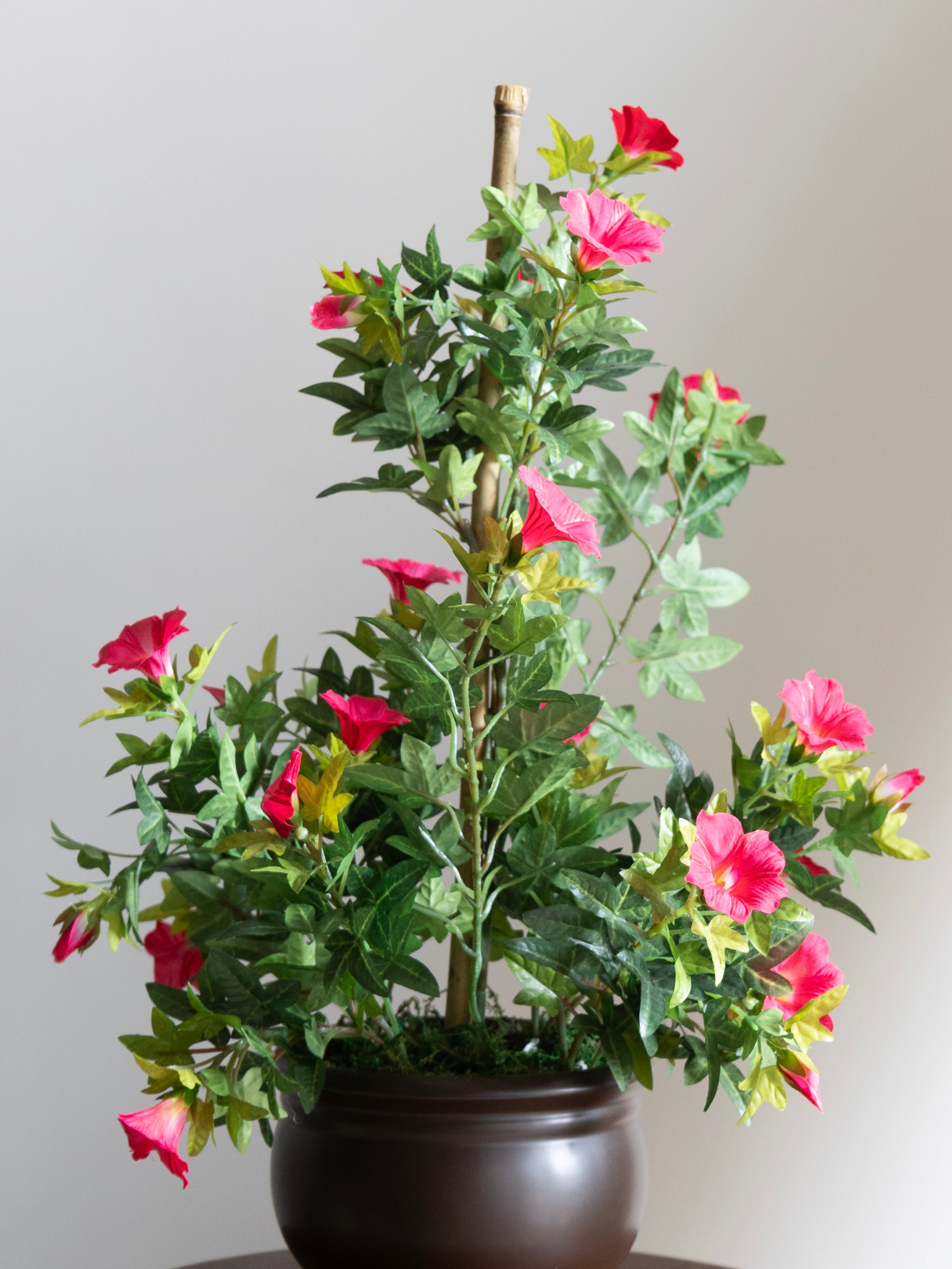 Artificial Morning glory Pink Bonsai 1.7ft