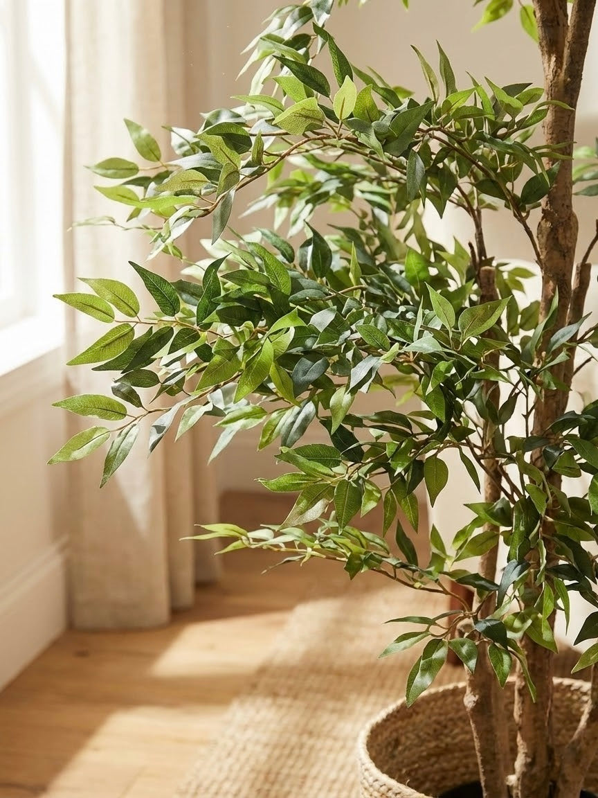 Artificial Ficus Tree 5.5ft