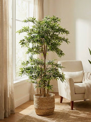 Artificial Ficus Tree 5.5ft