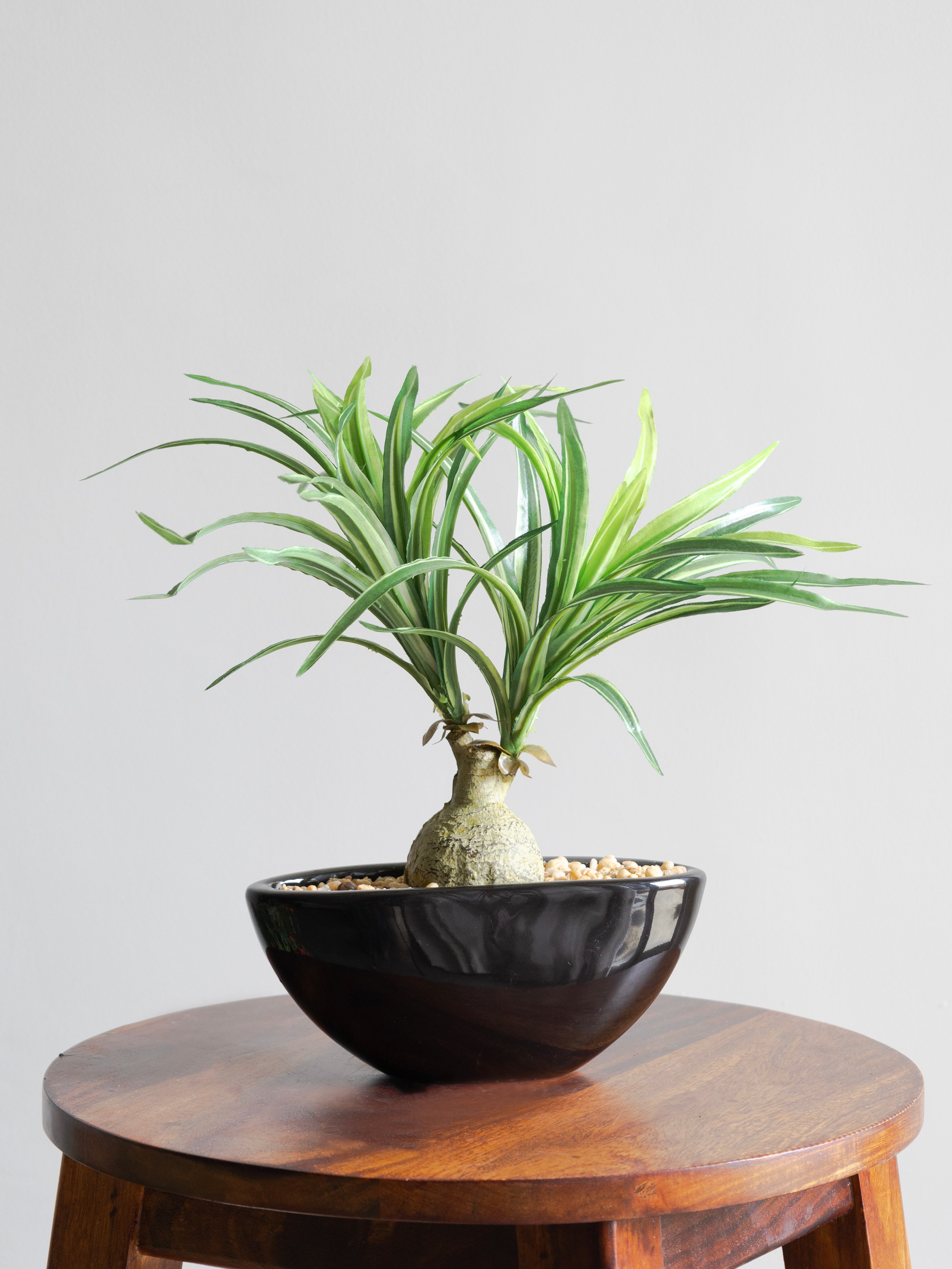 Artificial Nolina Leaves Bonsai 1ft