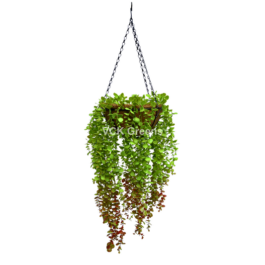 Artificial Oval Leaf Creeper Hanging Coco Basket 3.3ft