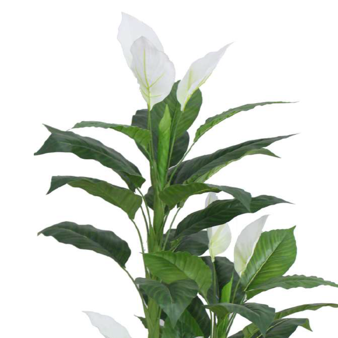 Artificial Peace Lily Plant With Pot 5ft