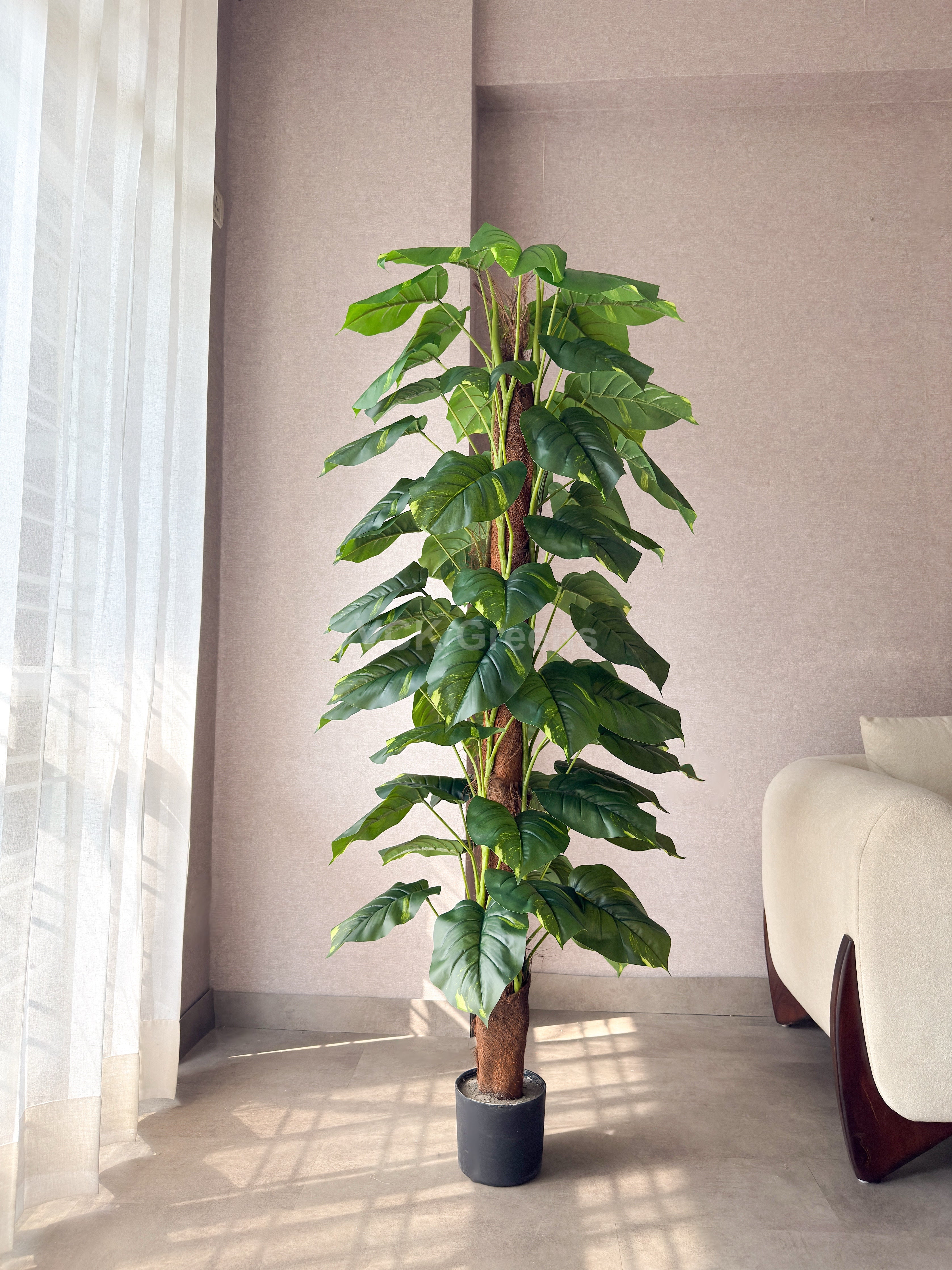 Artificial Pole Money Plant 5.5ft