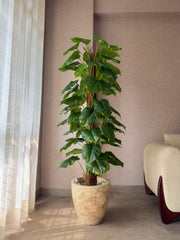 Artificial Pole Money Plant 5.5ft