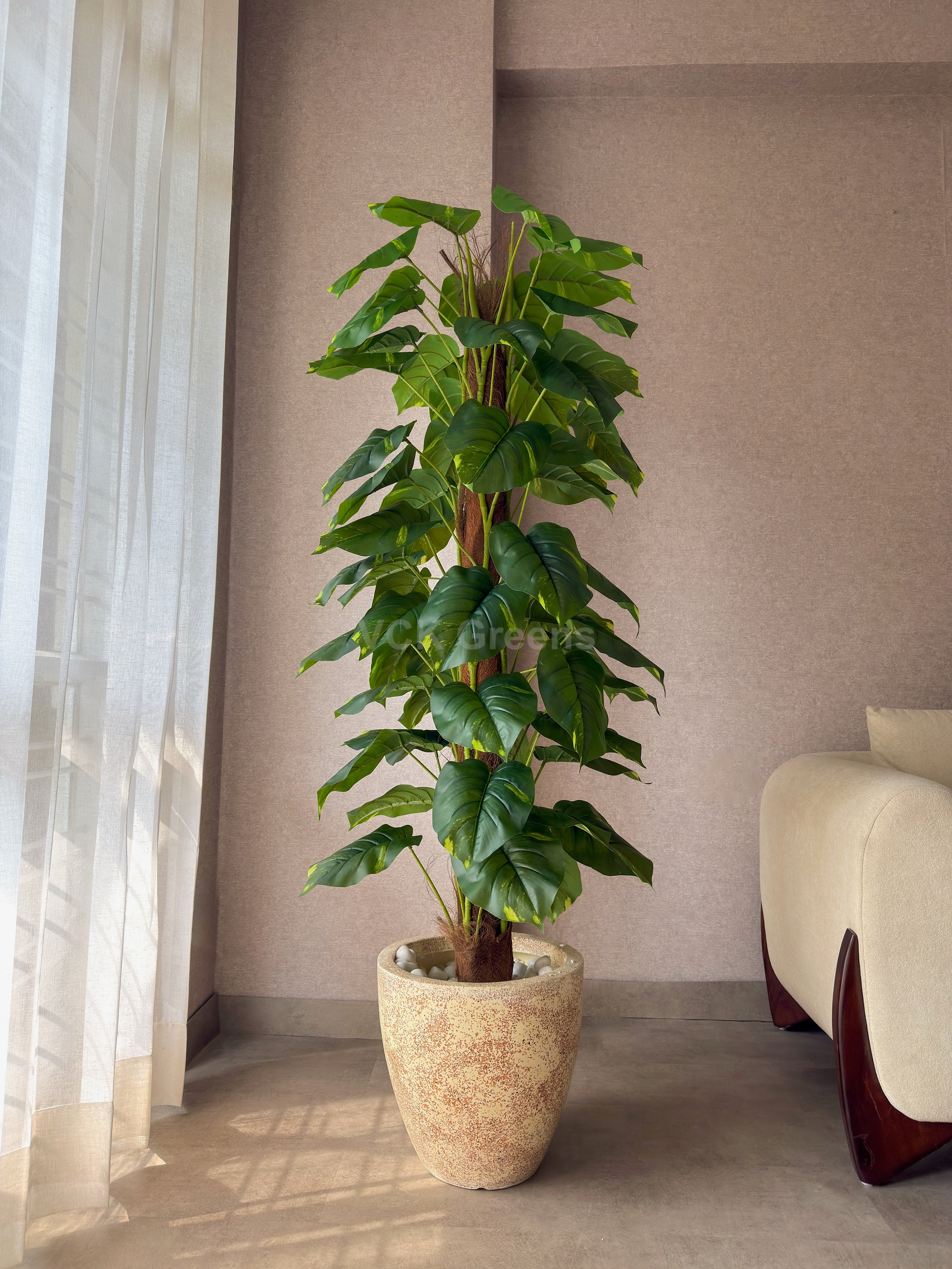 Artificial Pole Money Plant 5.5ft