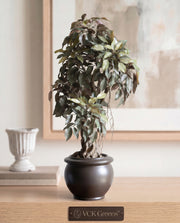 Artificial Ficus Leaf Bonsai 2ft