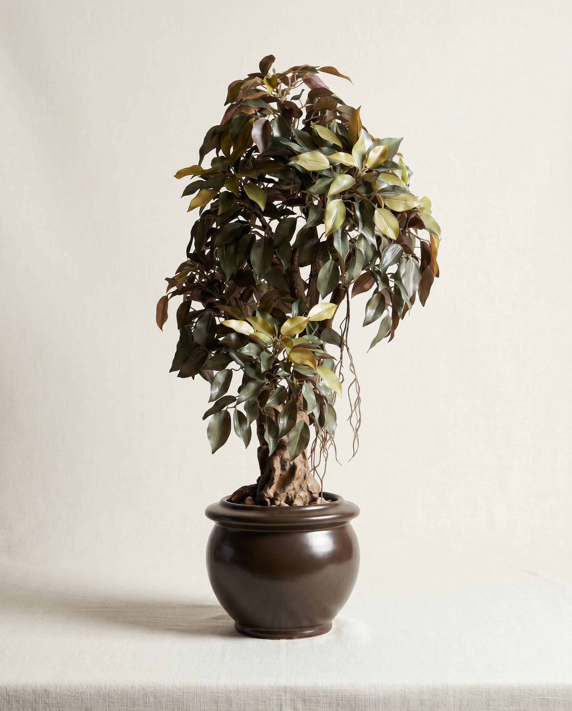 Artificial Ficus Leaf Bonsai 2ft