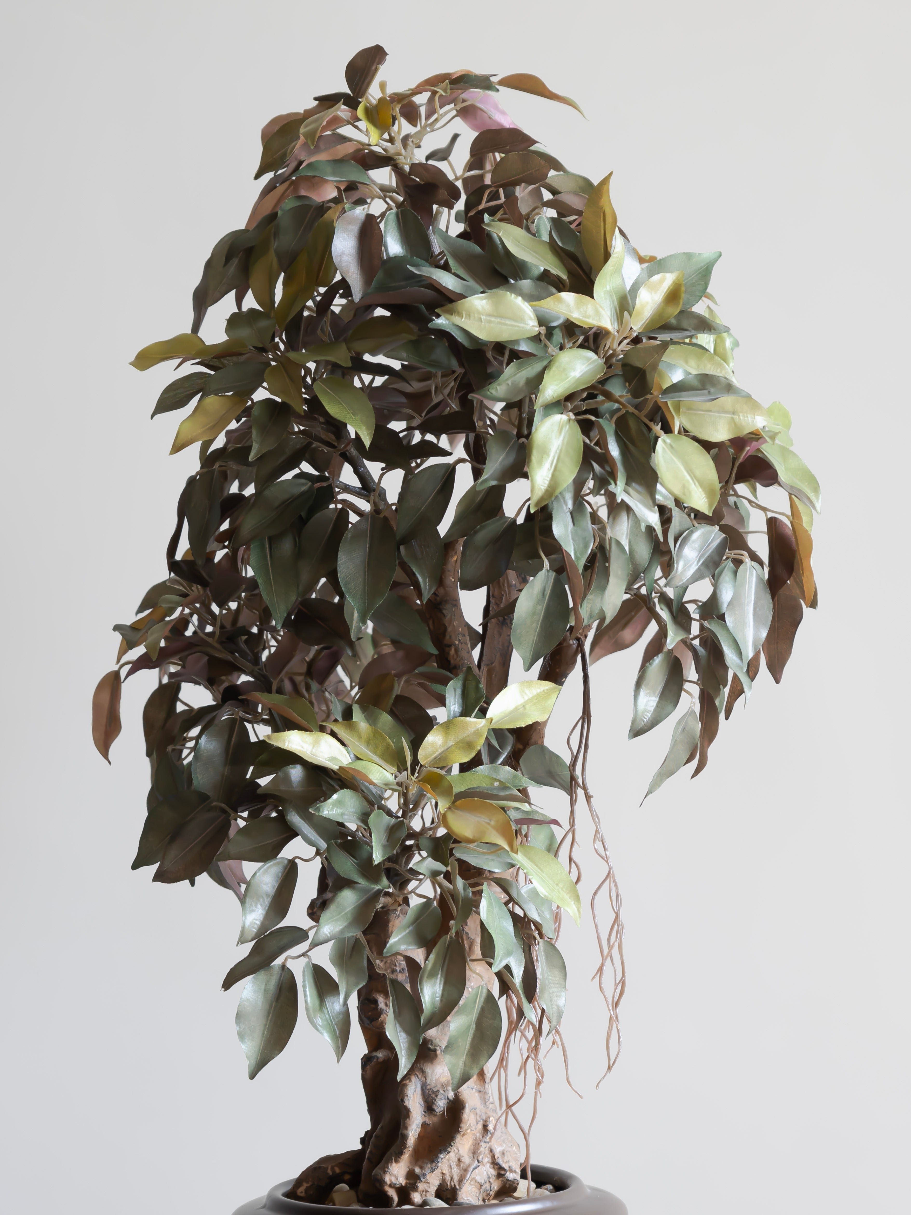 Artificial Ficus Leaf Bonsai 2ft