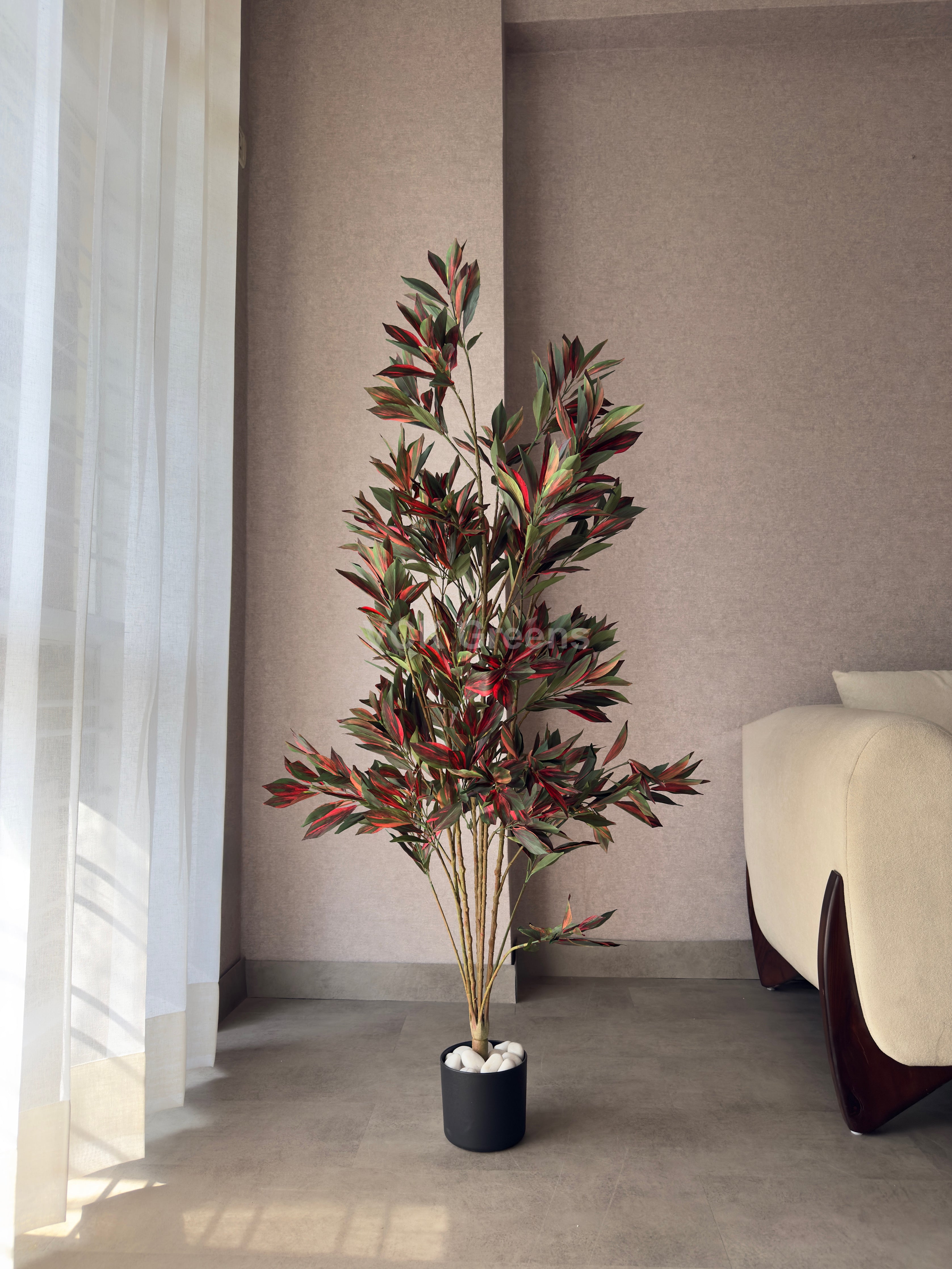 Artificial Red Dracaena Plant 5ft