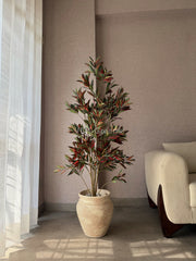 Artificial Red Dracaena Plant 5ft