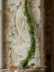 Artificial Forest Moss Vine 5.6ft