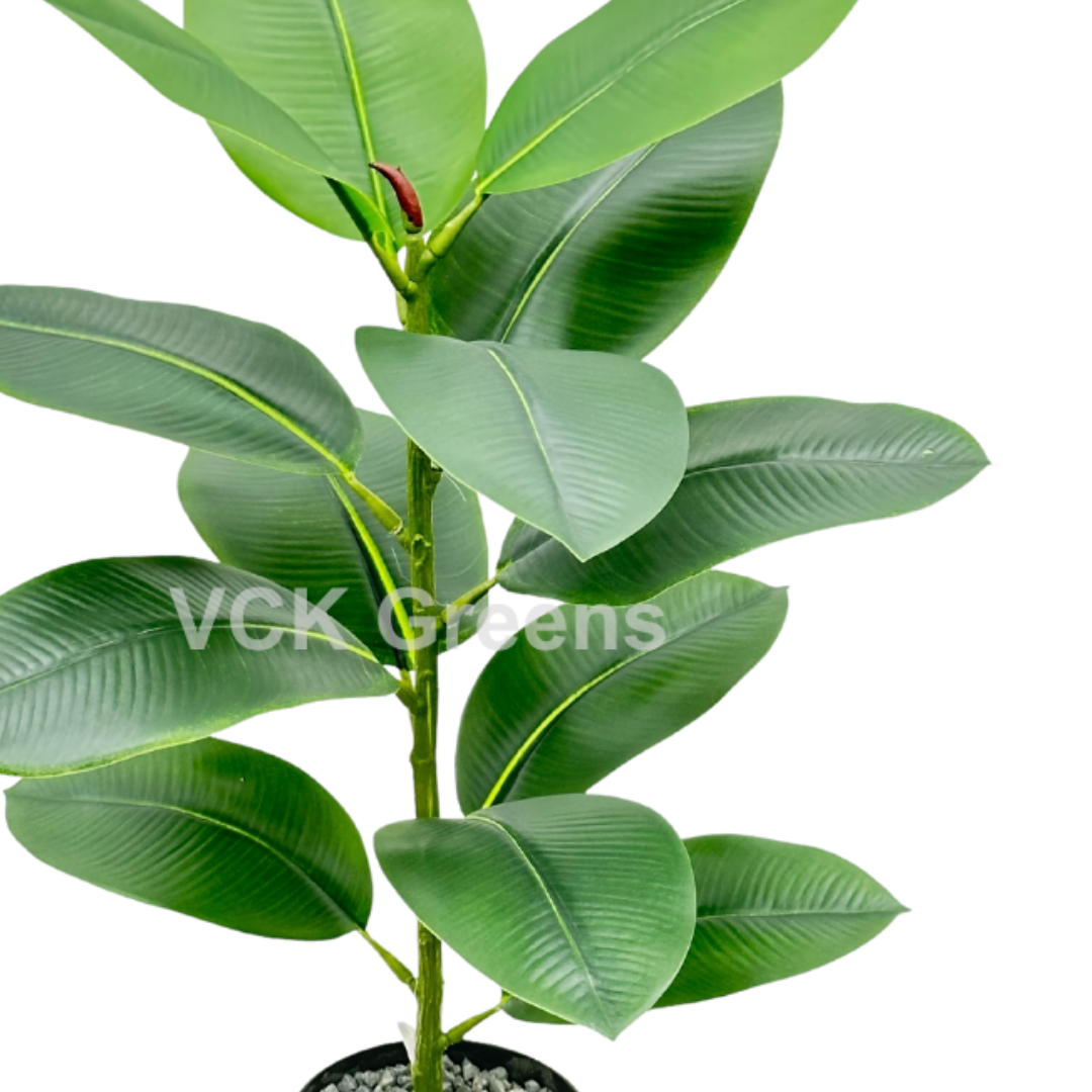 Artificial Rubber Plant 2.2ft With Pot