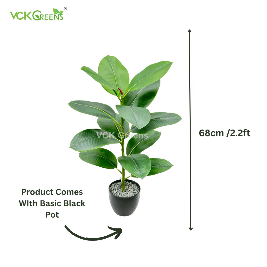 Artificial Rubber Plant 2.2ft With Pot