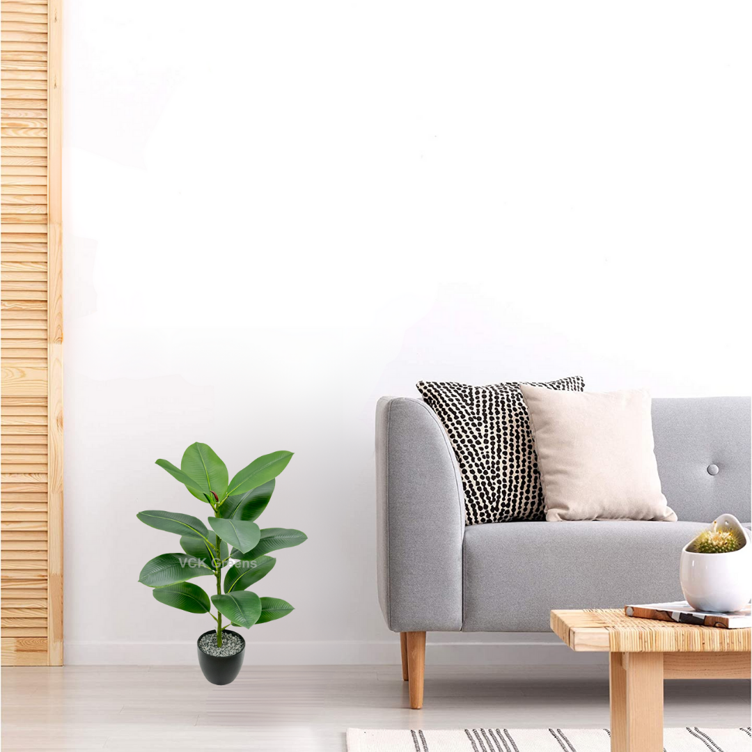 Artificial Rubber Plant 2.2ft With Pot