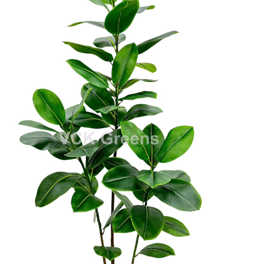 Artificial Rubber Plant 5ft With Pot