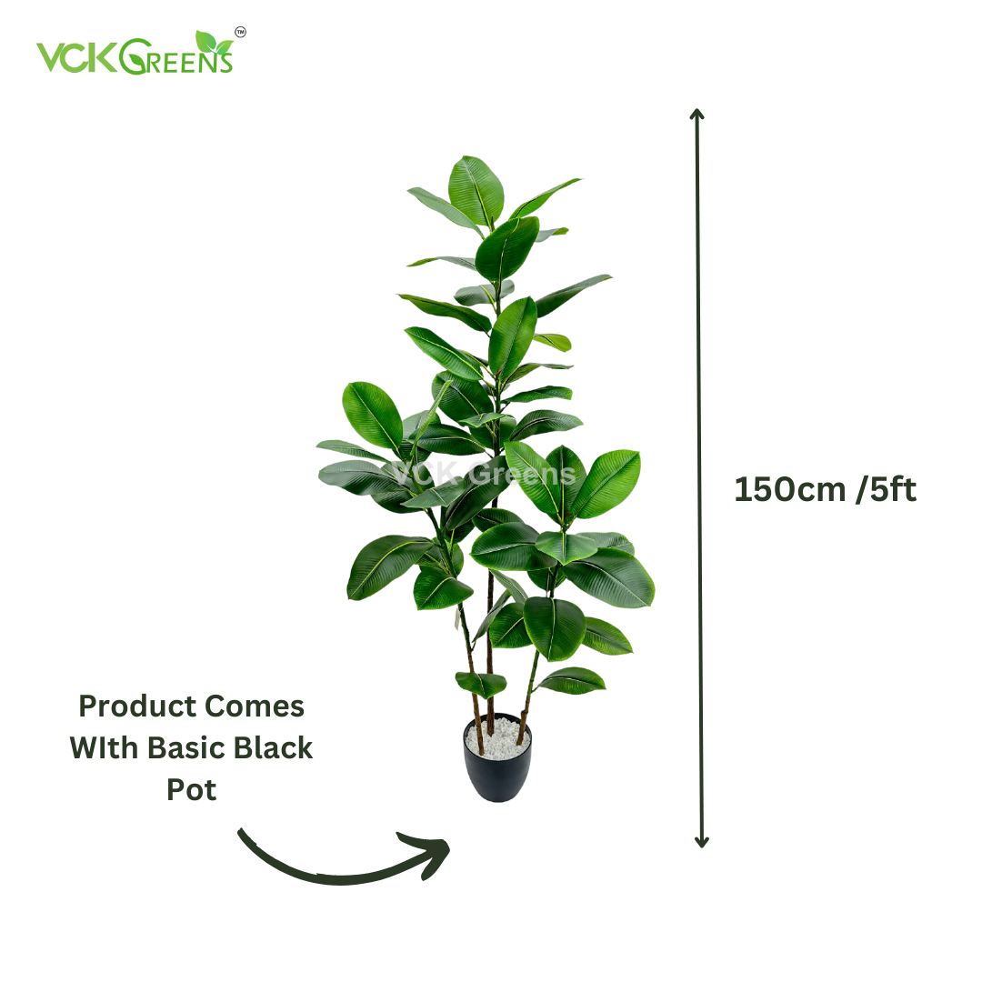 Artificial Rubber Plant 5ft With Pot