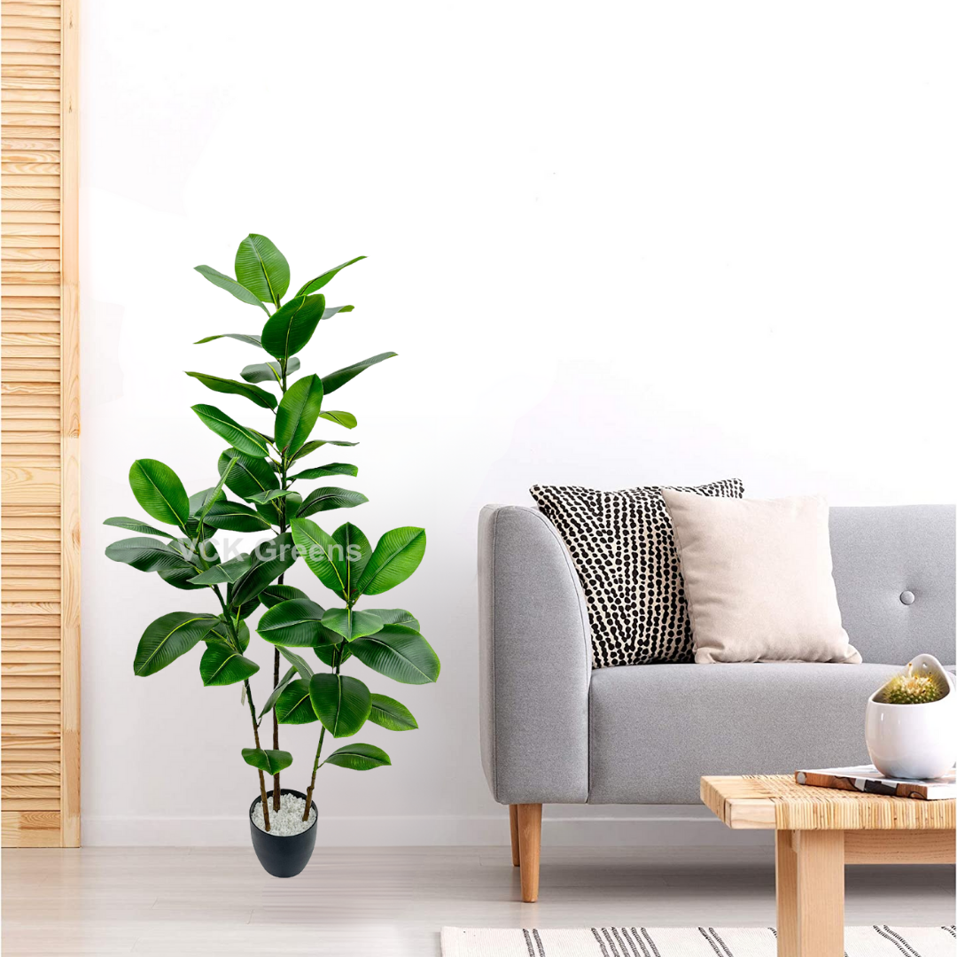 Artificial Rubber Plant 5ft With Pot
