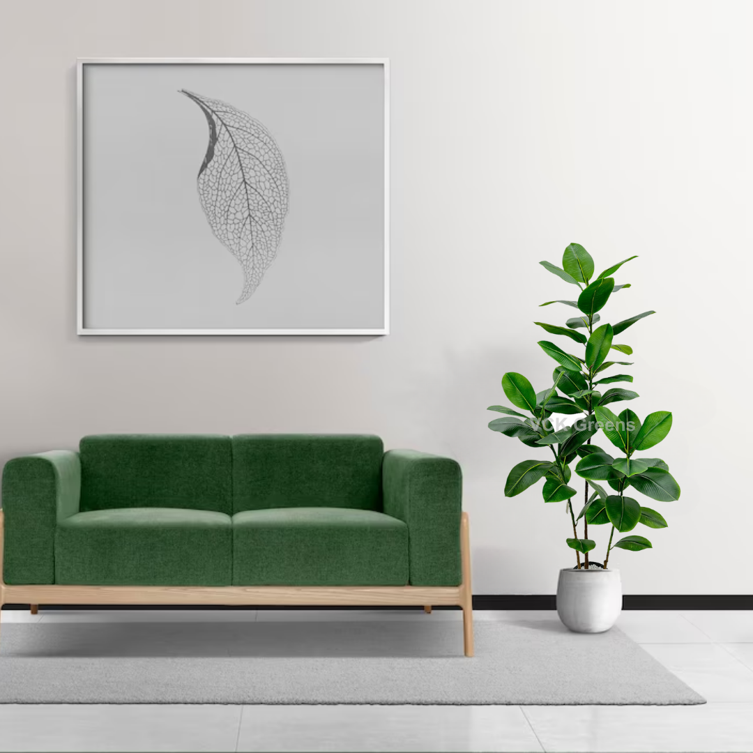 Artificial Rubber Plant 5ft With Pot