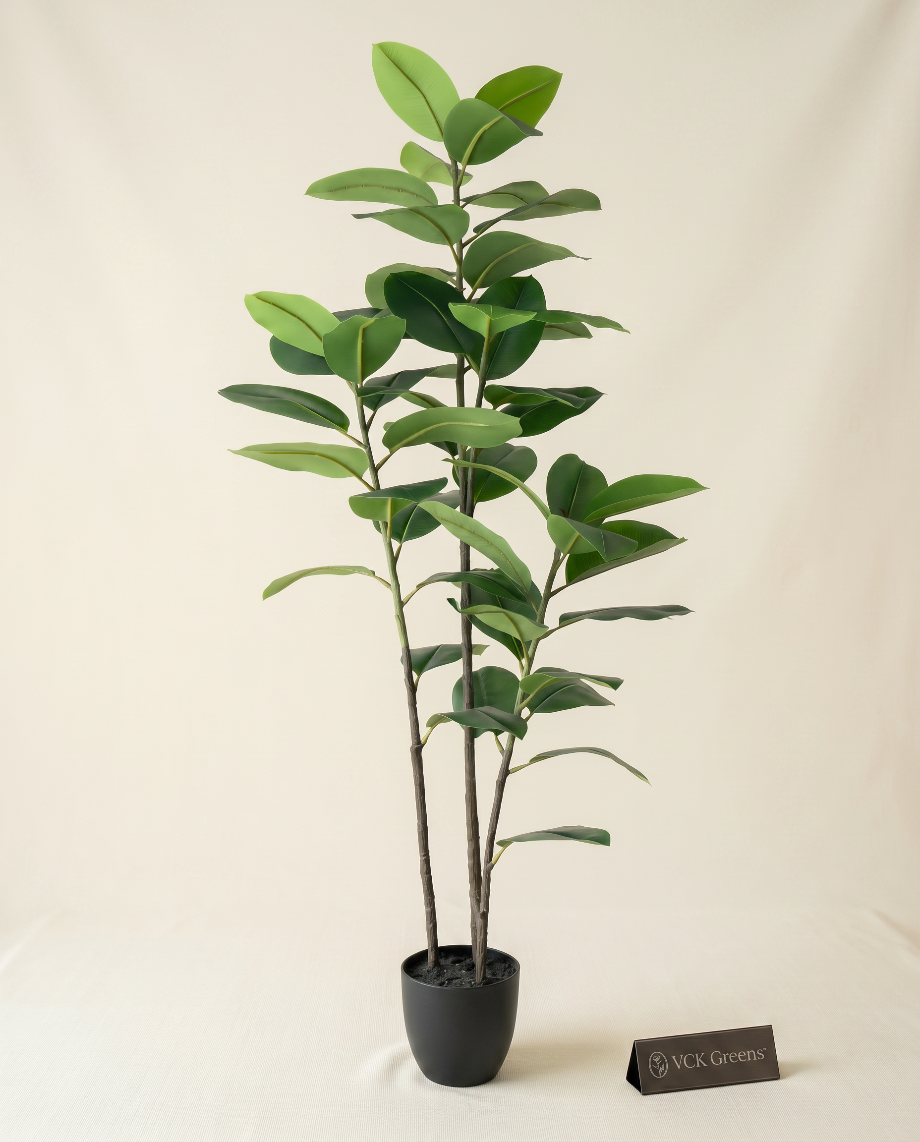 Artificial Vista Rubber Plant 5ft