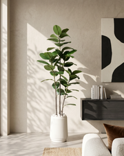Artificial Vista Rubber Plant 5ft