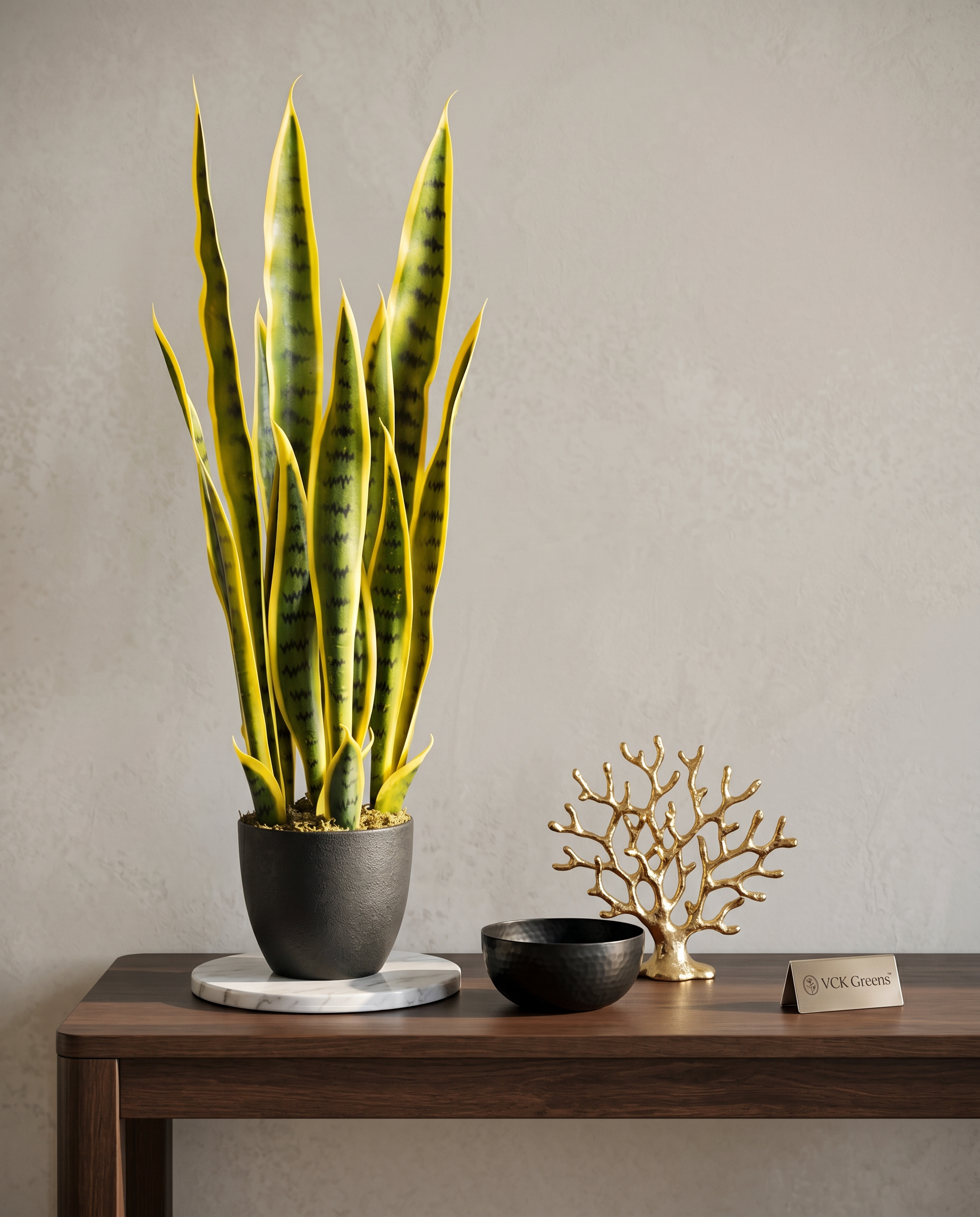 Artificial Snake Plant 2.2ft