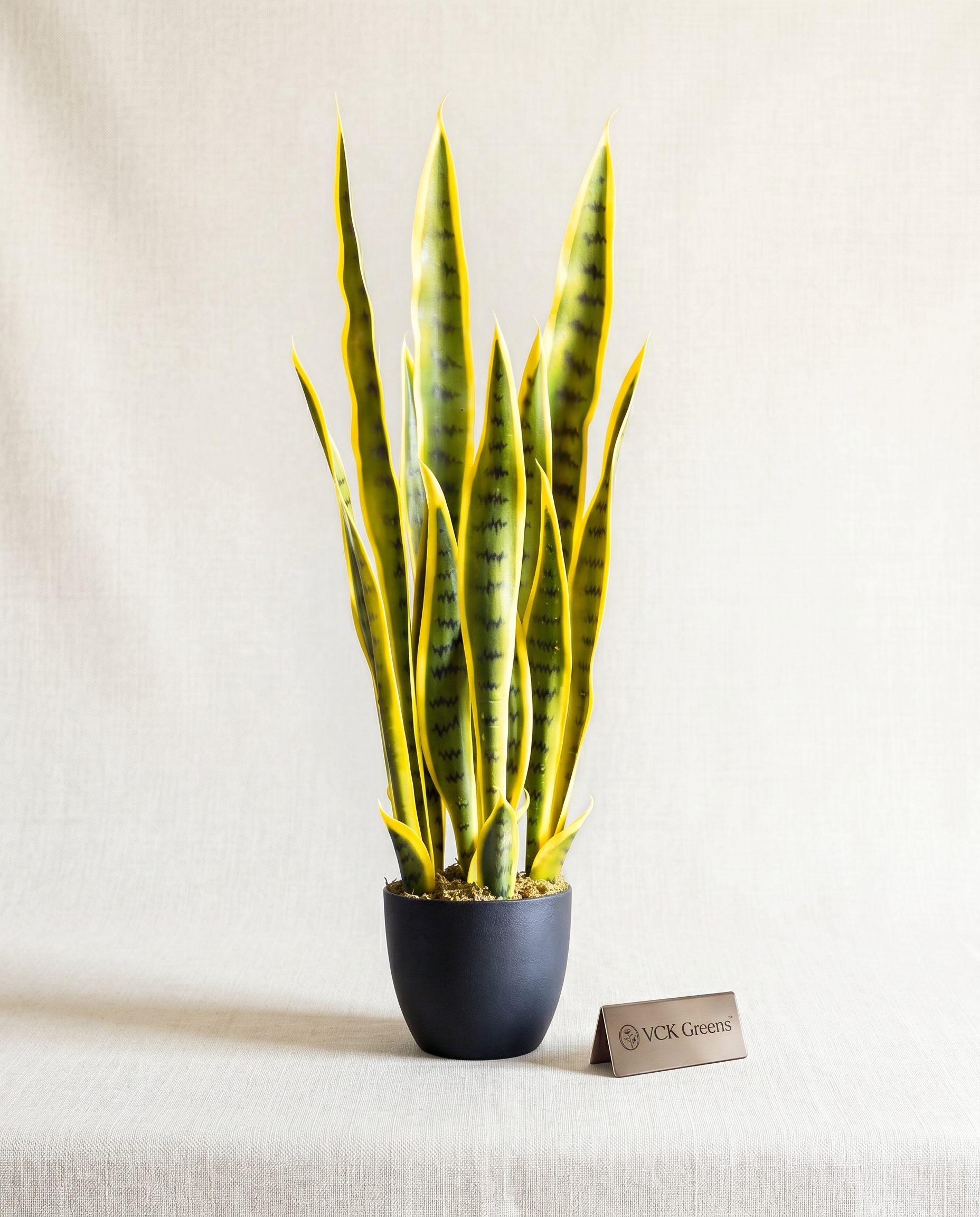 Artificial Snake Plant 2.2ft