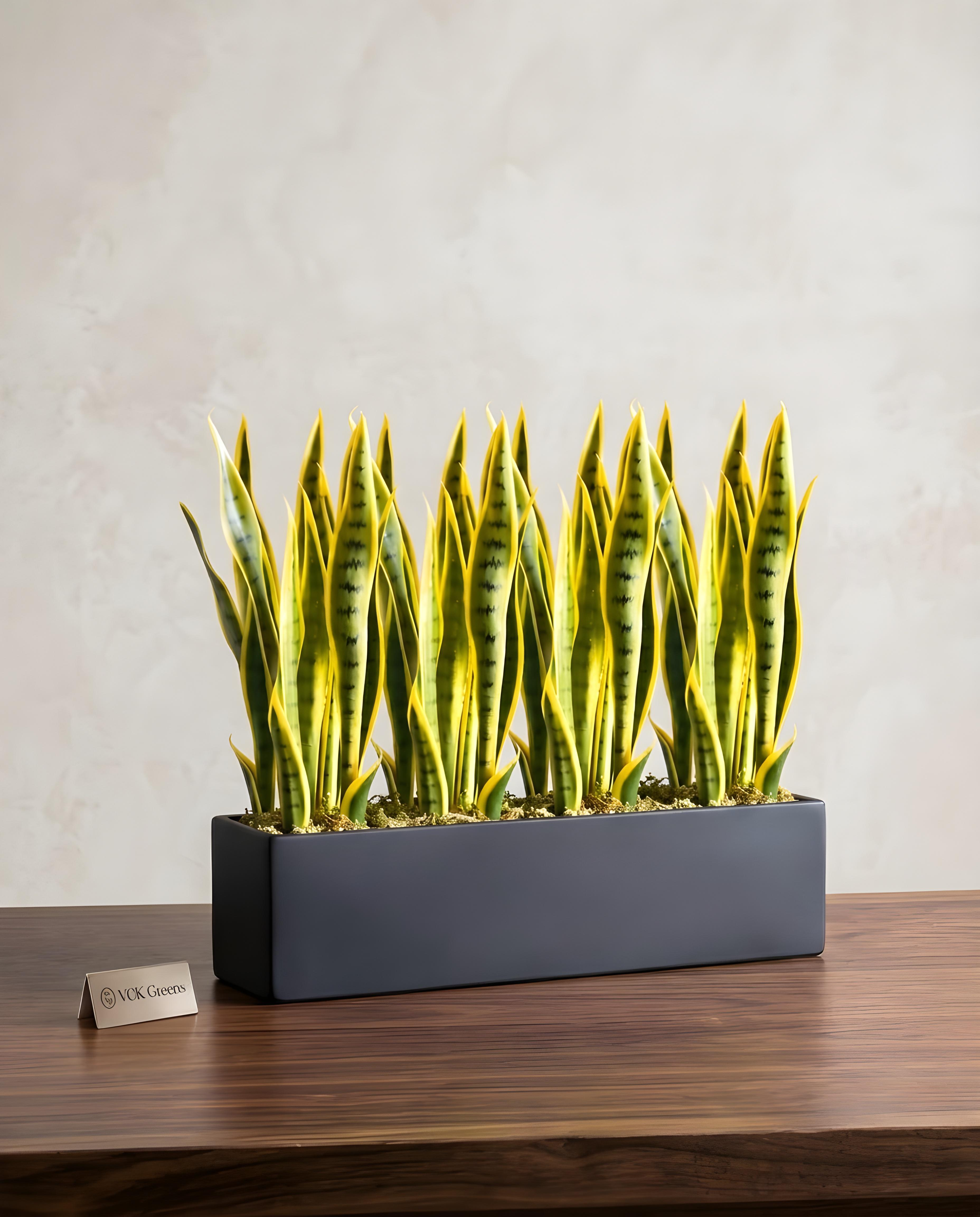 Artificial Snake Plant 1.7ft