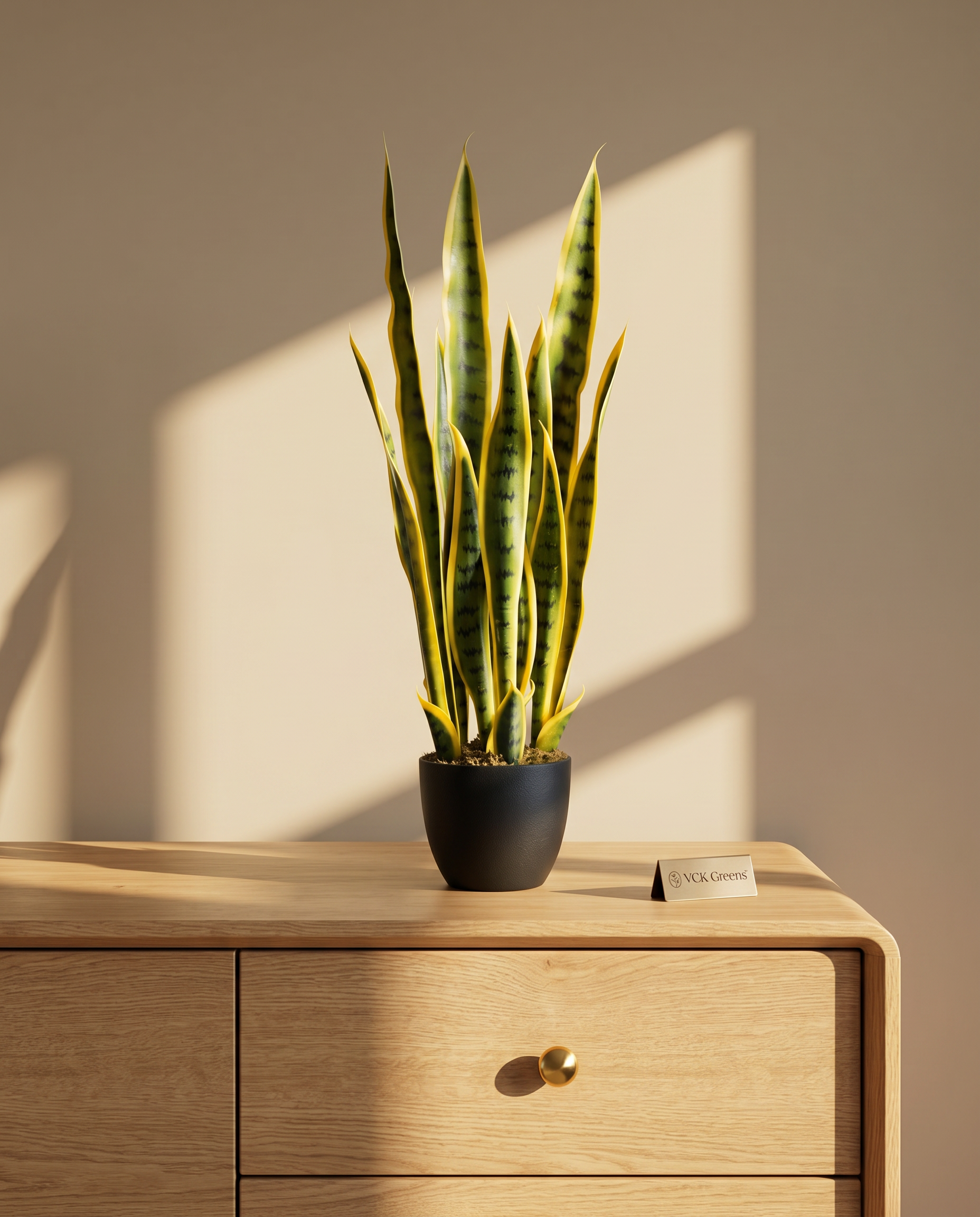 Artificial Snake Plant 2.2ft