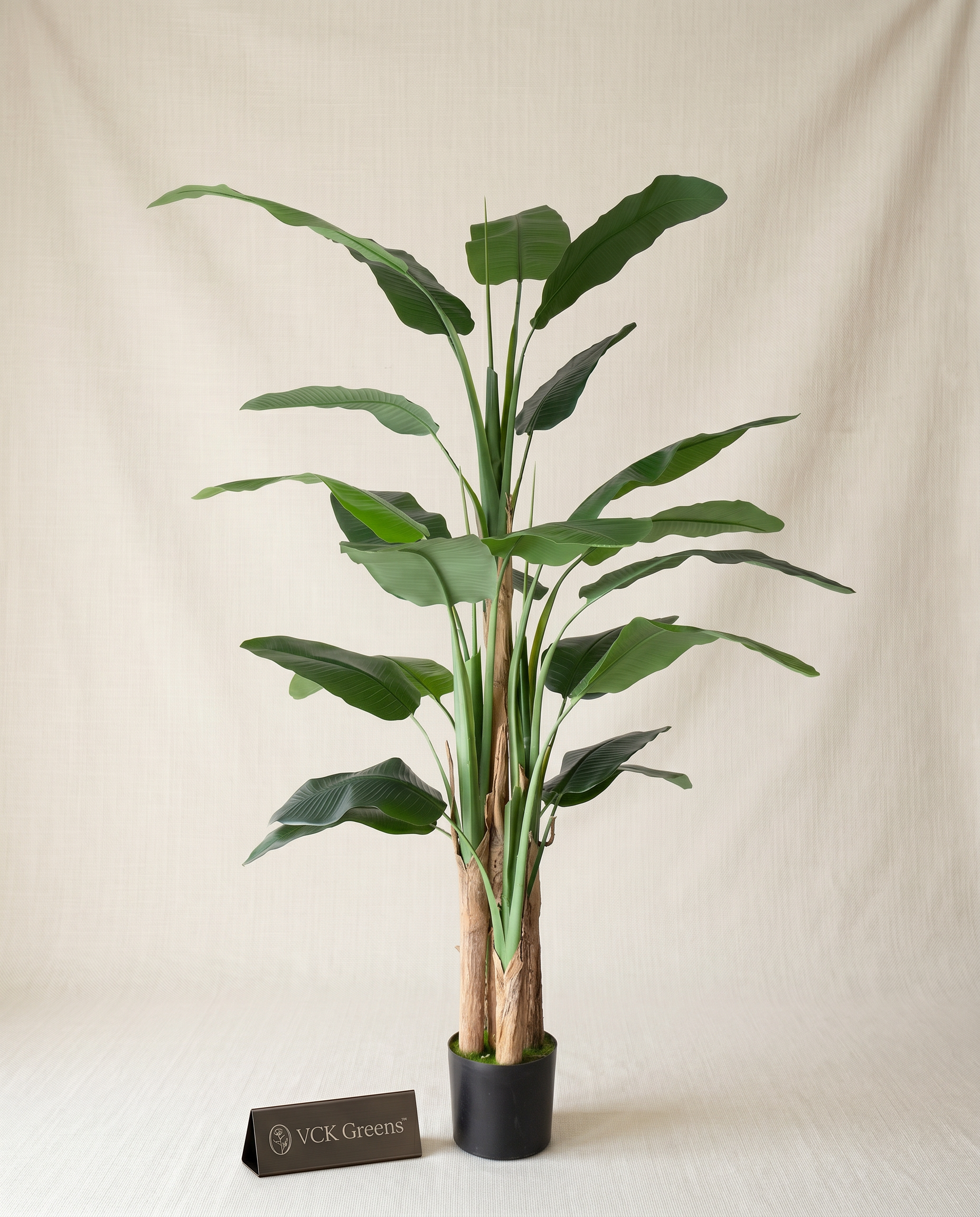 Artificial Strelitzia Statement Plant 7ft