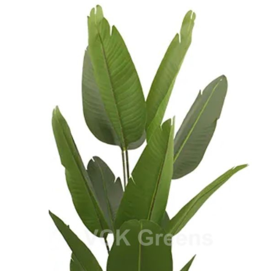 Artificial Banana Traveller's Palm Plants/Tree With Pot 6 Feet