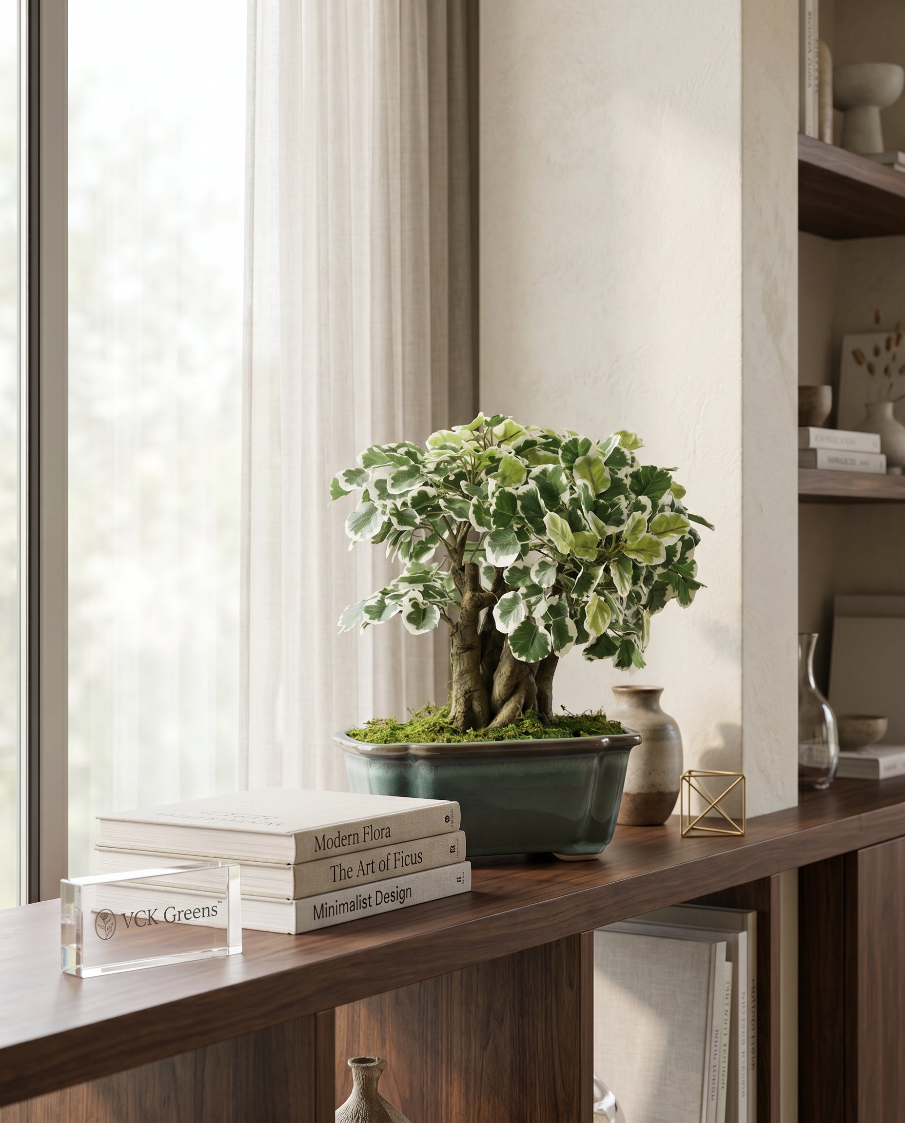 Artificial Variegated Ficus Bonsai Plant 1.1ft