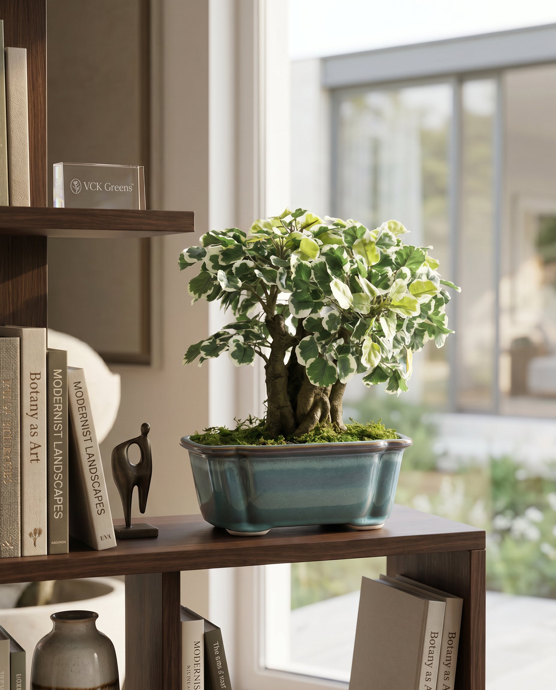 Artificial Variegated Ficus Bonsai Plant 1.1ft