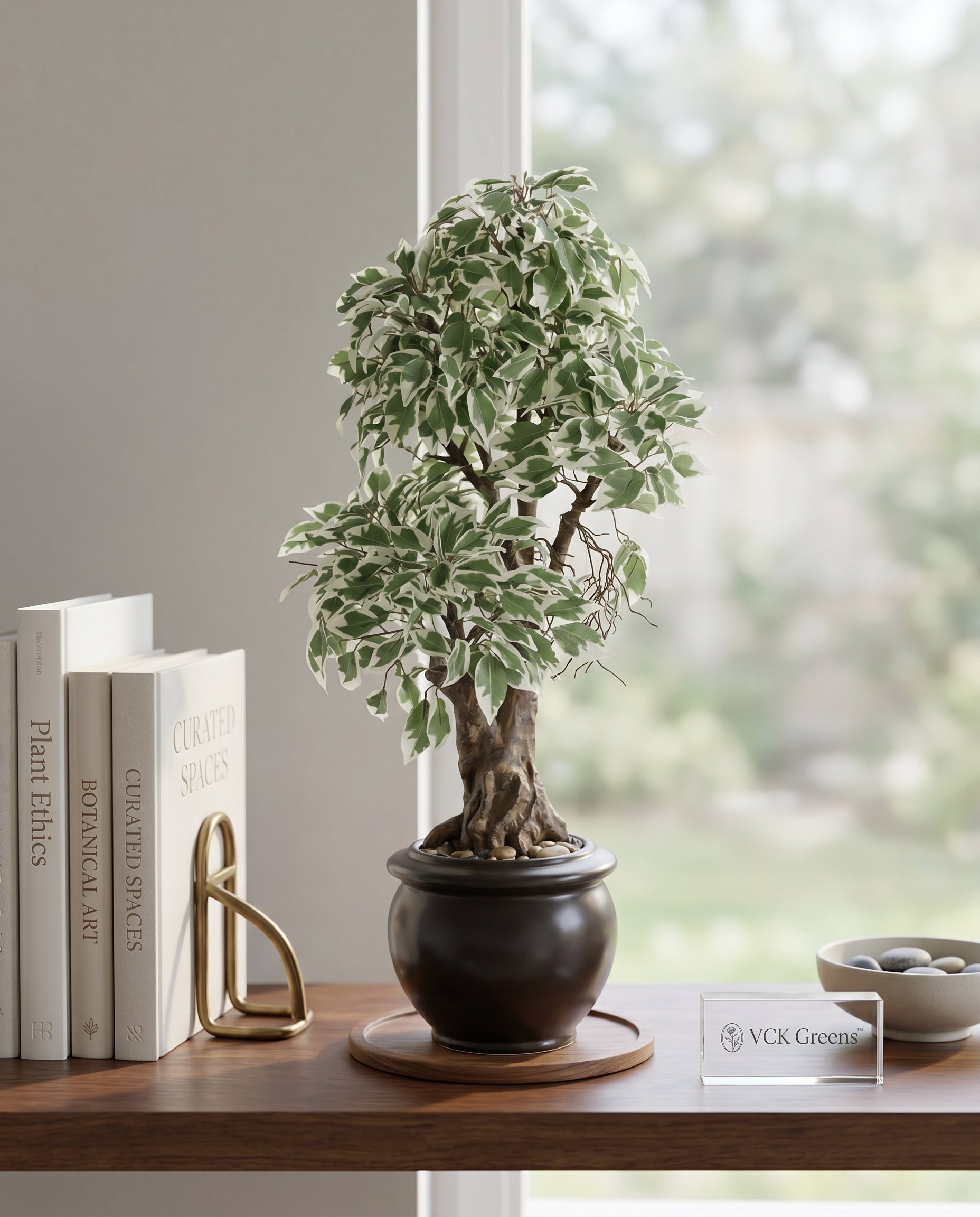 Artificial Variegated Ficus Leaf Bonsai 2ft